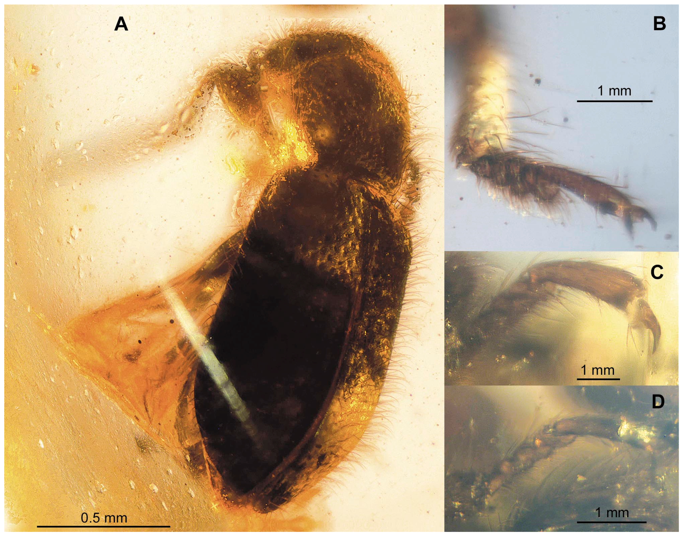 Insects 13 00438 g004