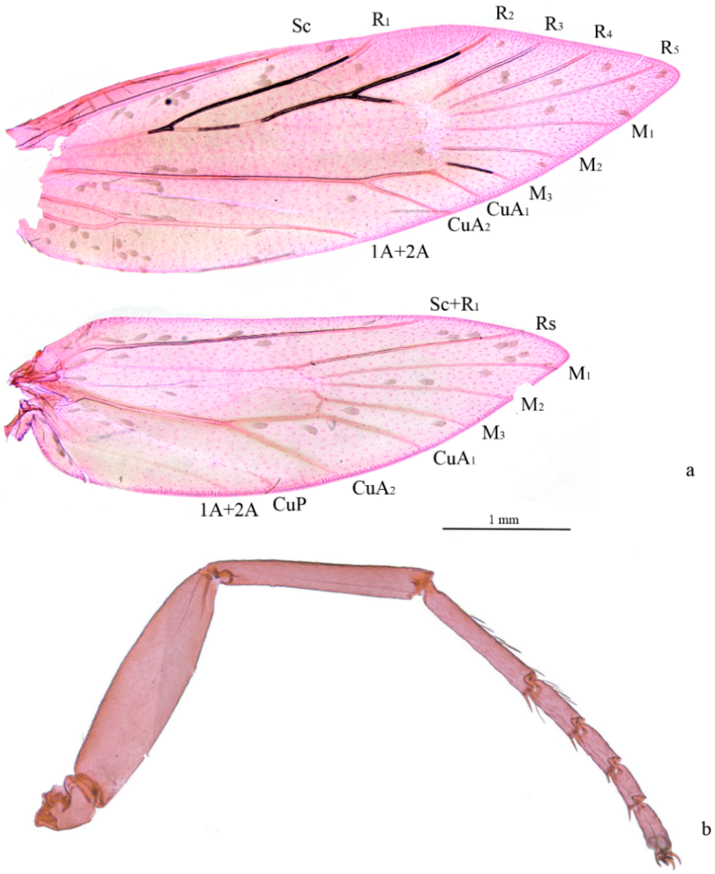 Insects 13 00440 g002