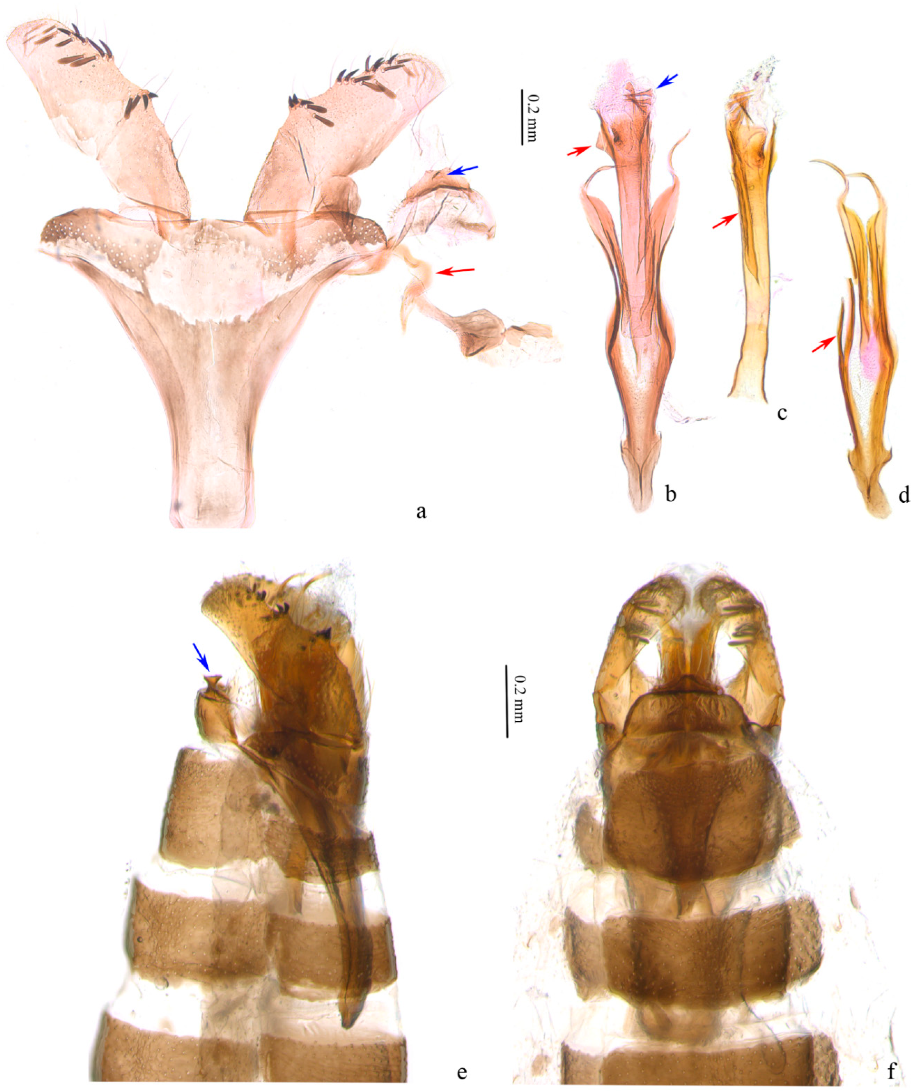 Insects 13 00440 g003