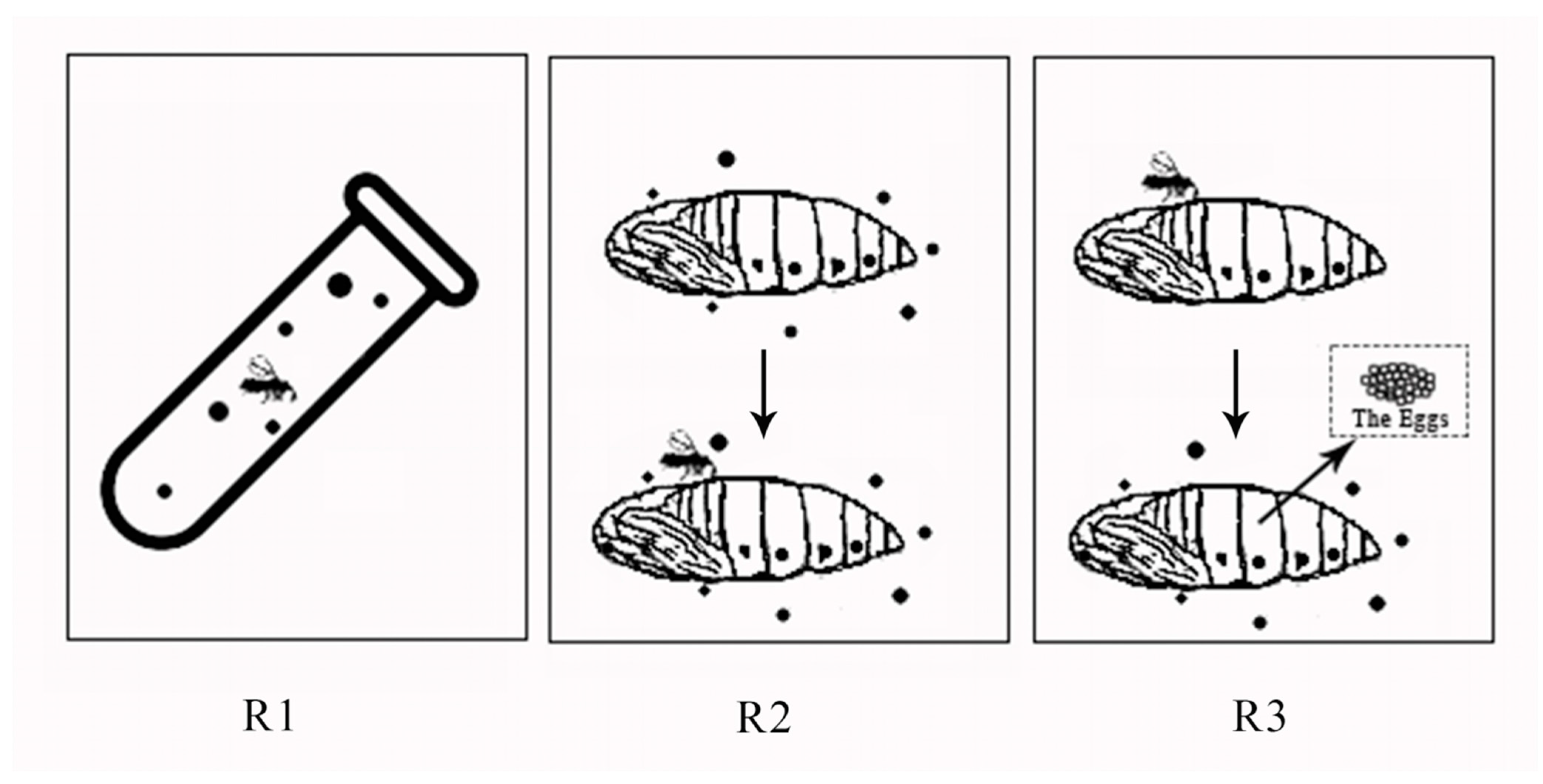 Insects 13 00443 g001