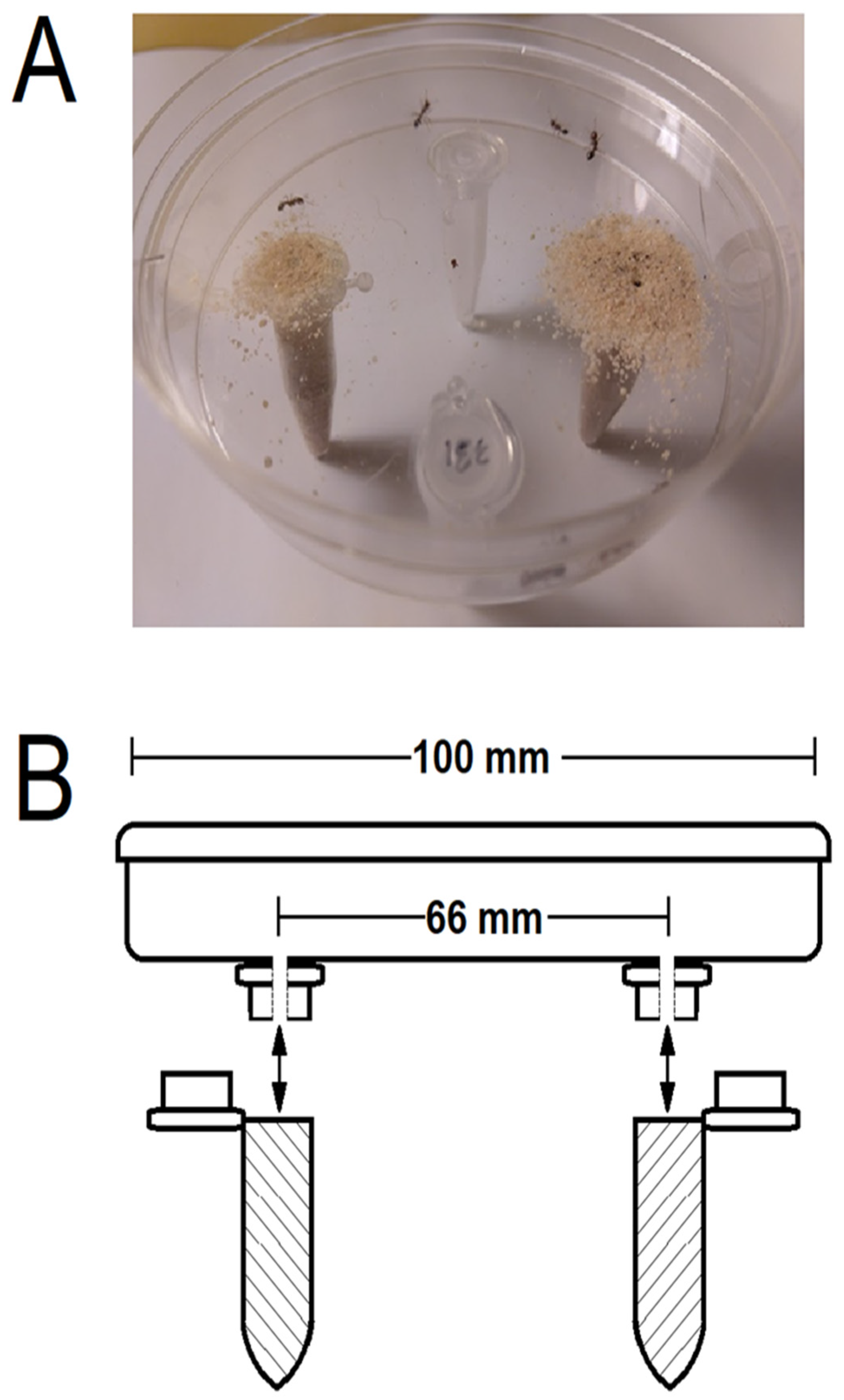 Insects 13 00444 g001