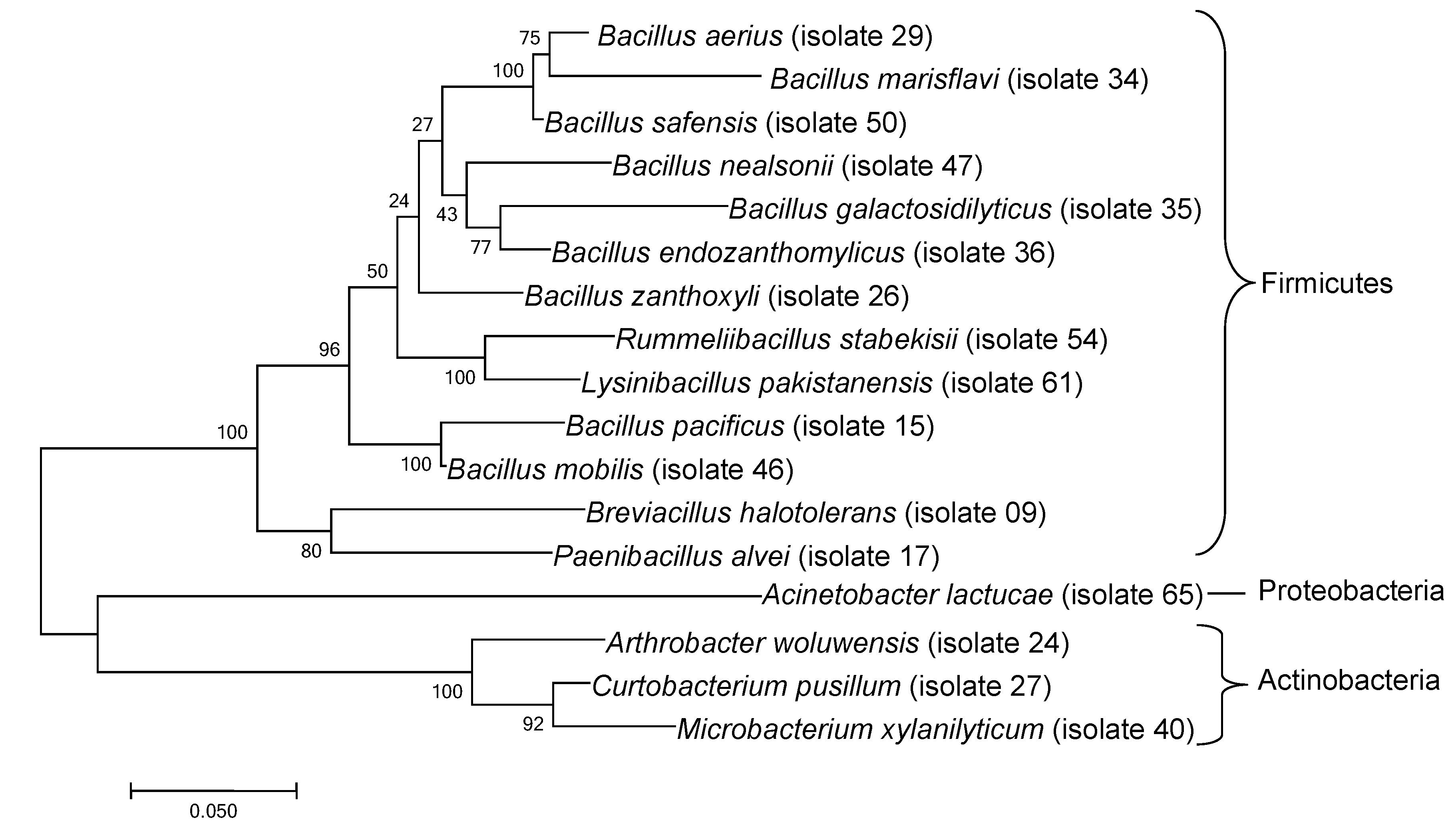 Insects 13 00444 g002