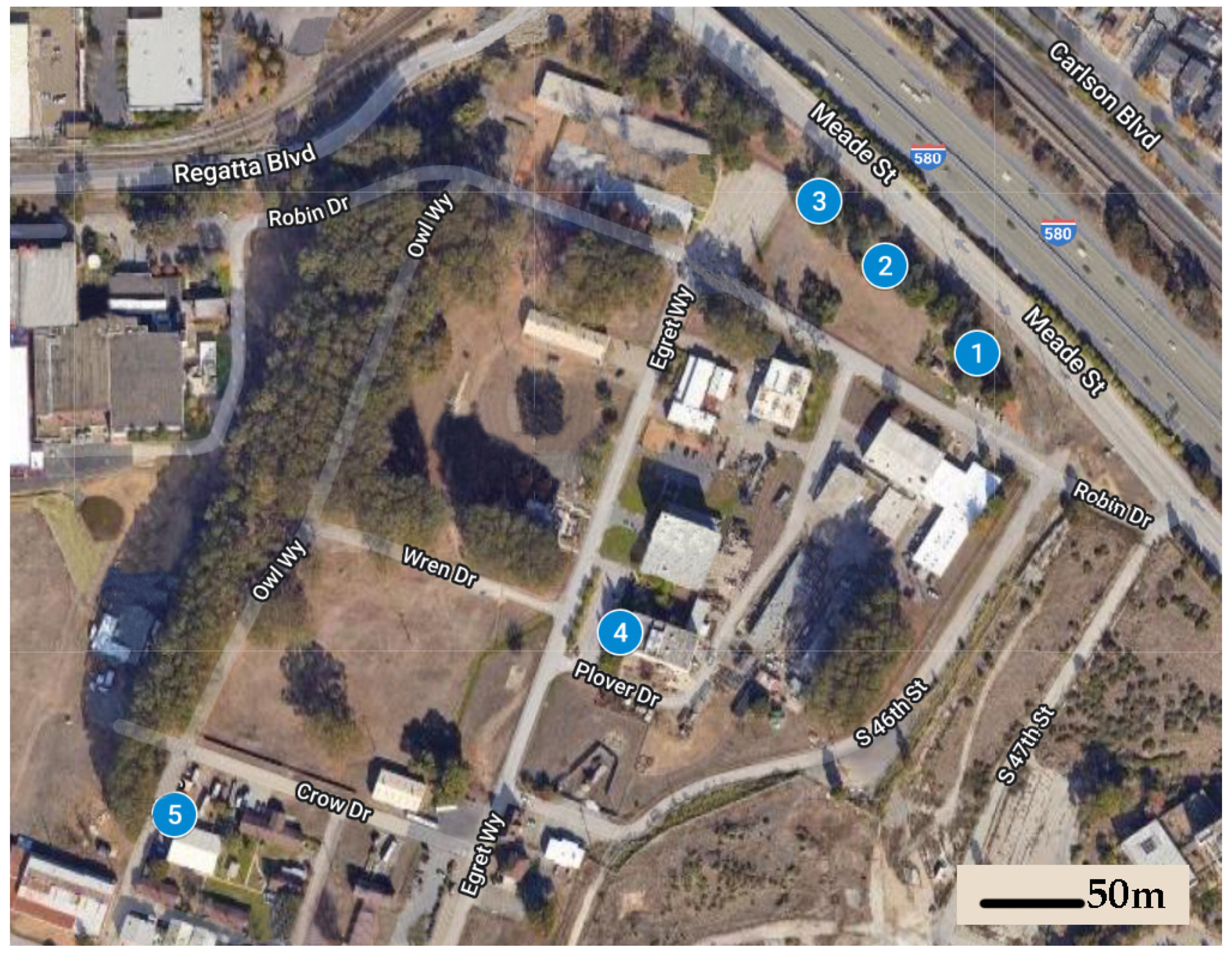 Insects 13 00445 g001