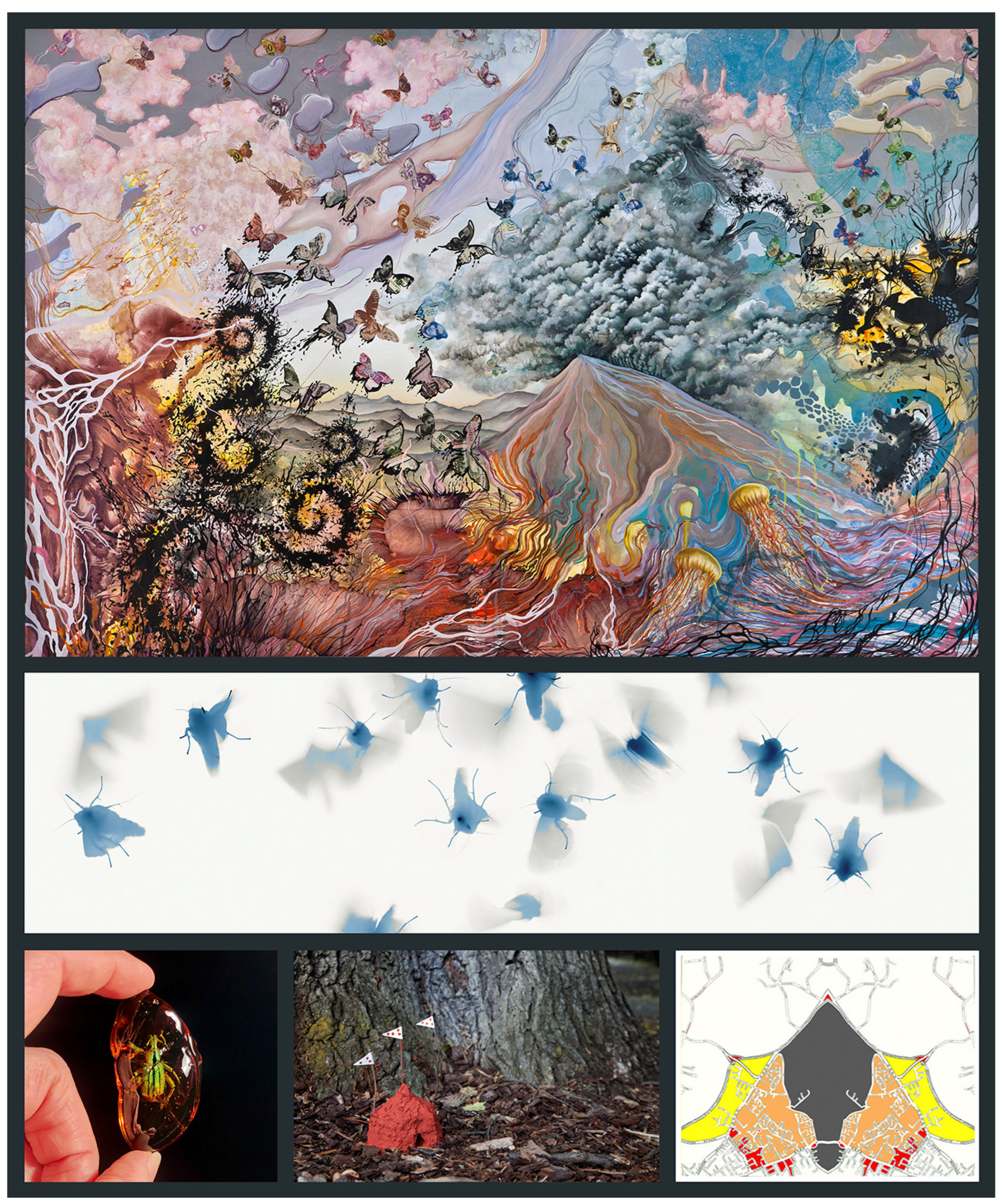 Insects 13 00448 g001