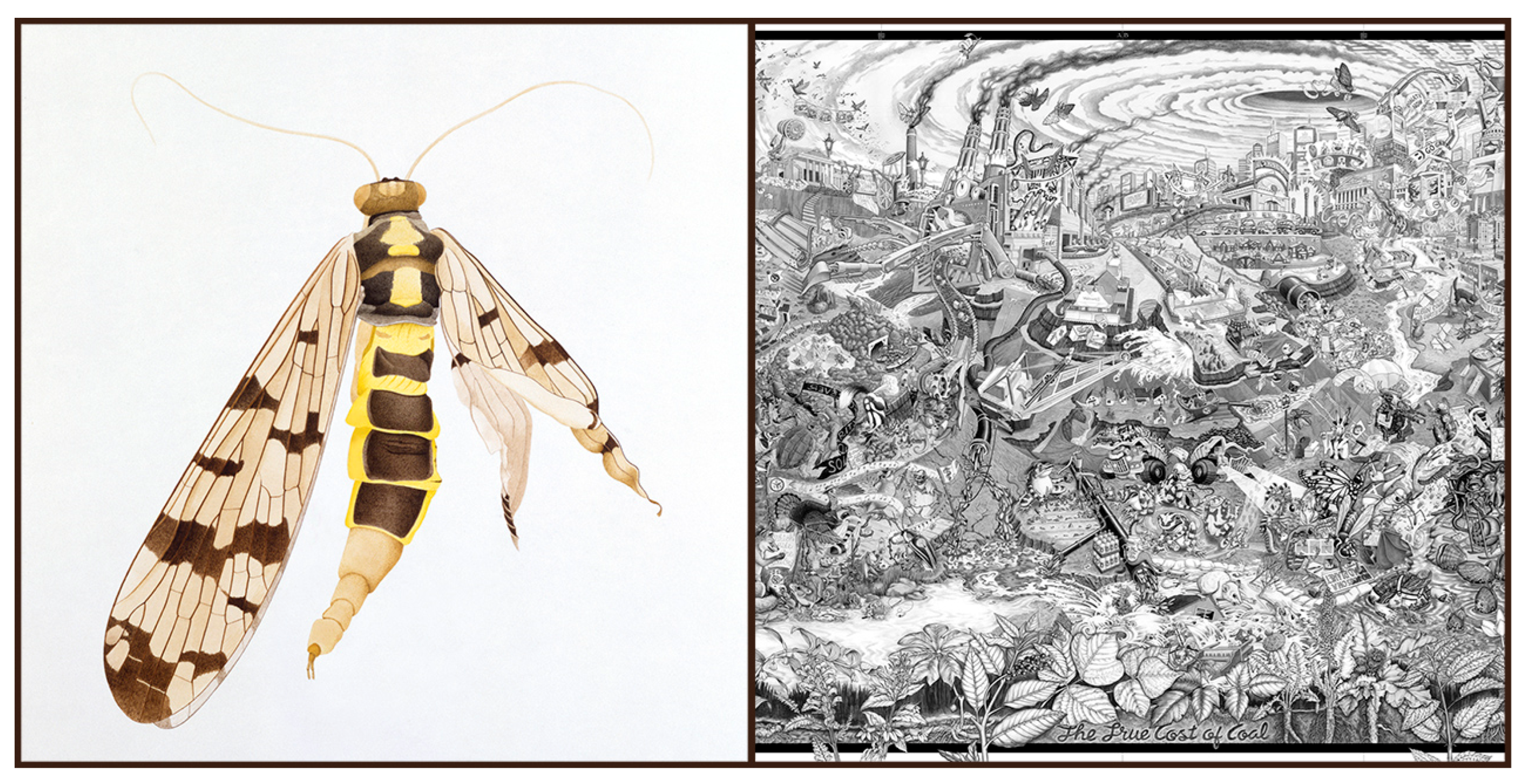 Insects 13 00448 g002