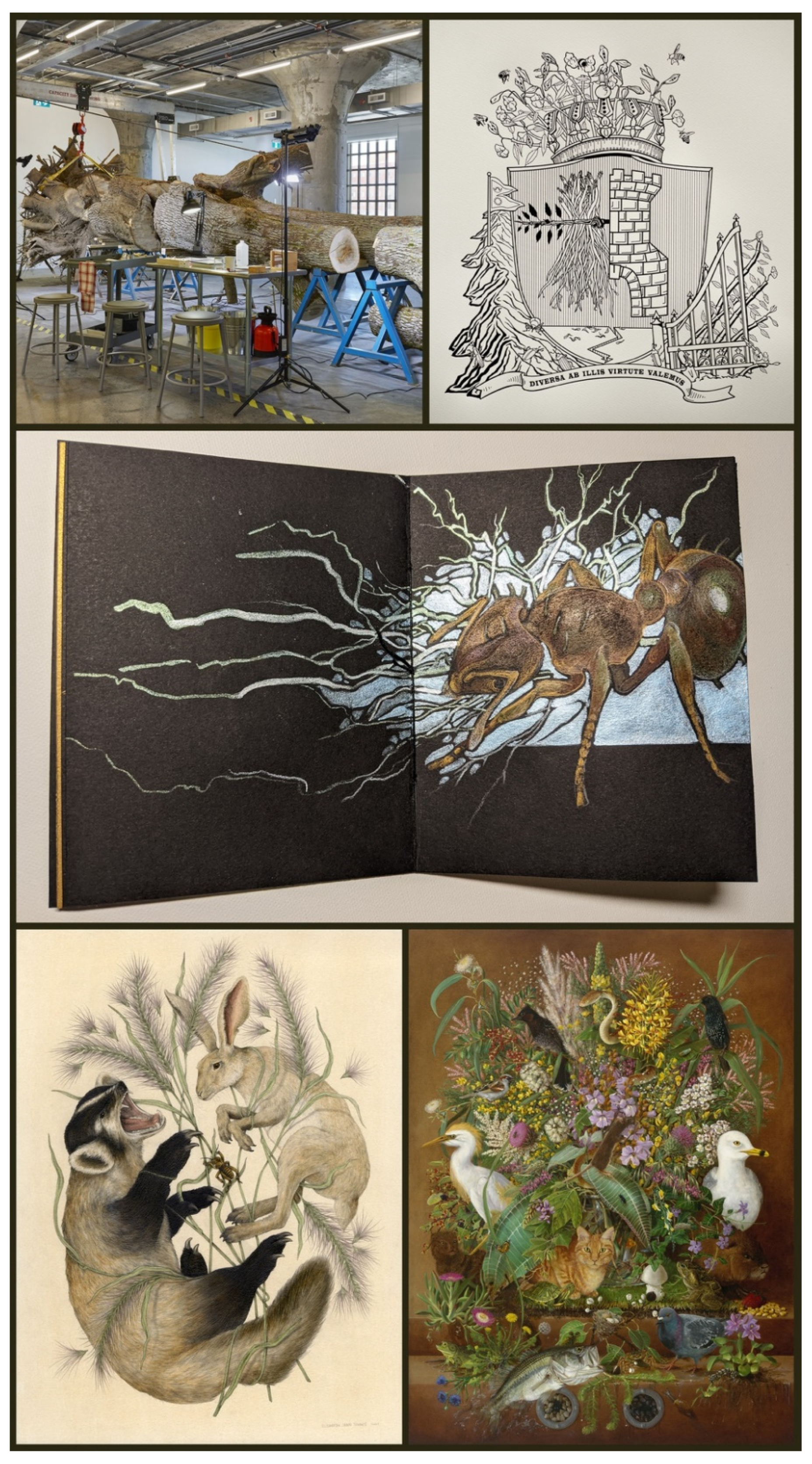 Insects 13 00448 g004