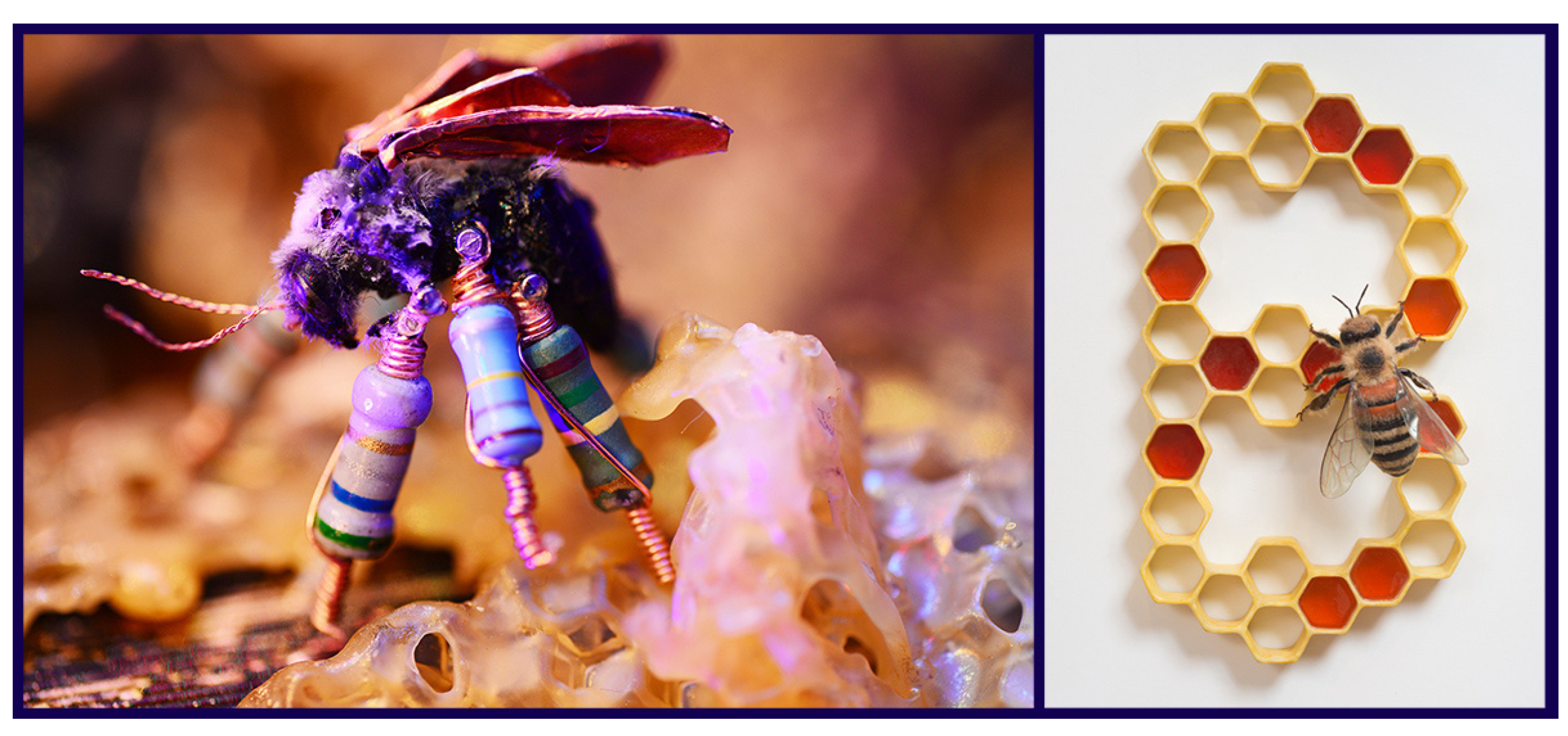 Insects 13 00448 g005