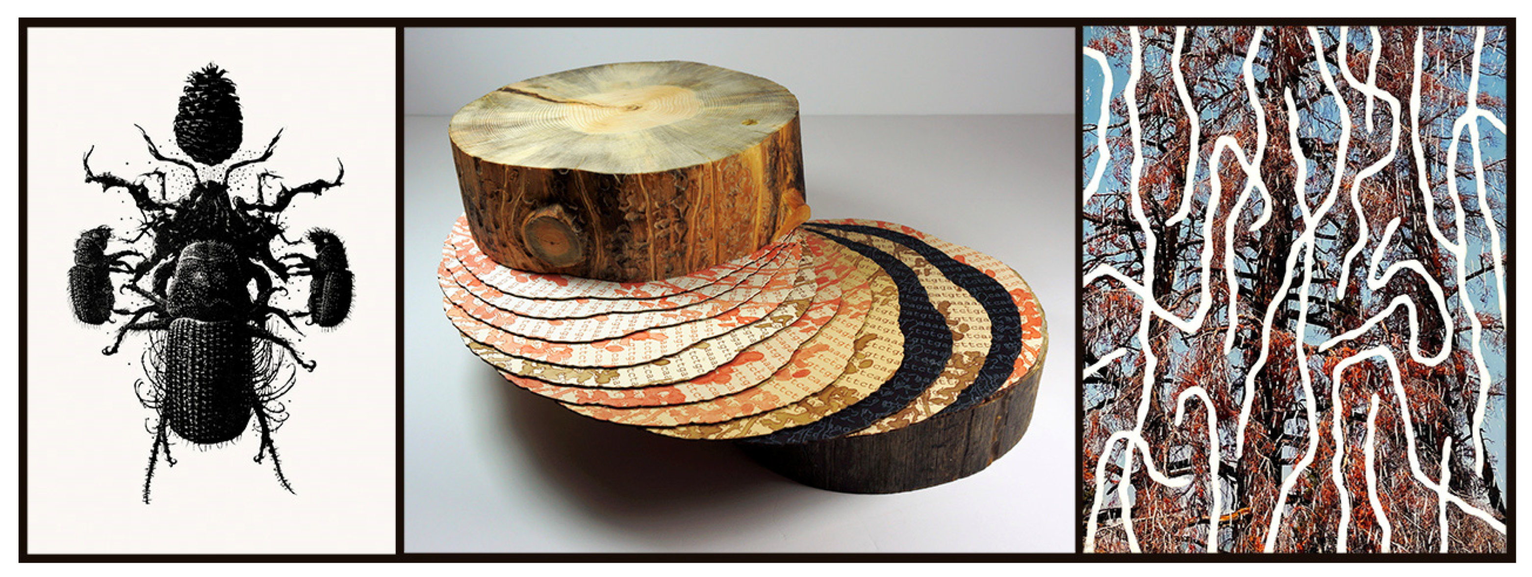 Insects 13 00448 g008