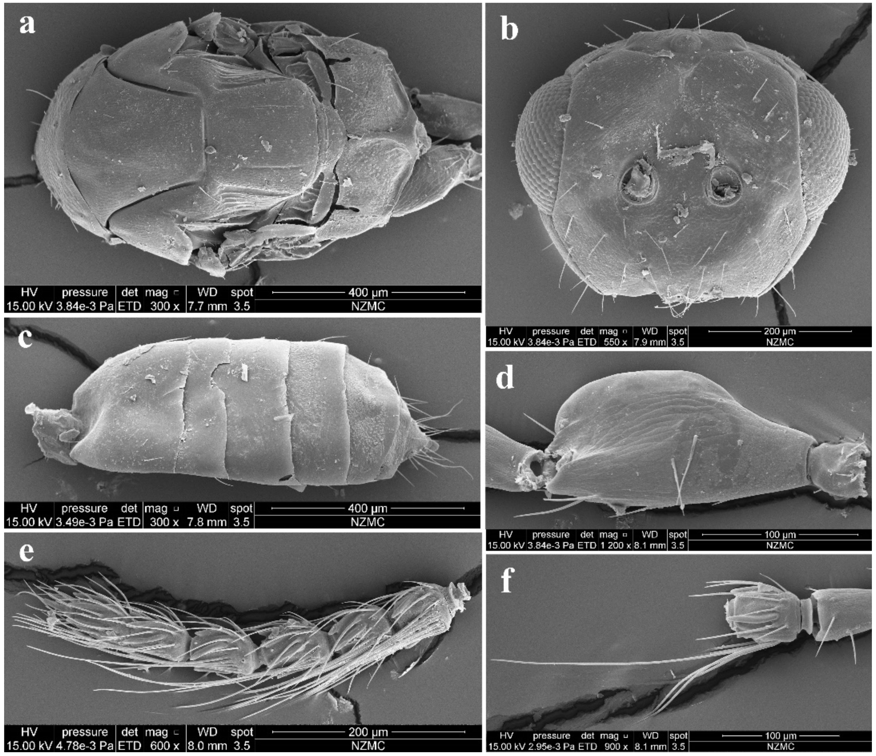 Insects 13 00450 g005
