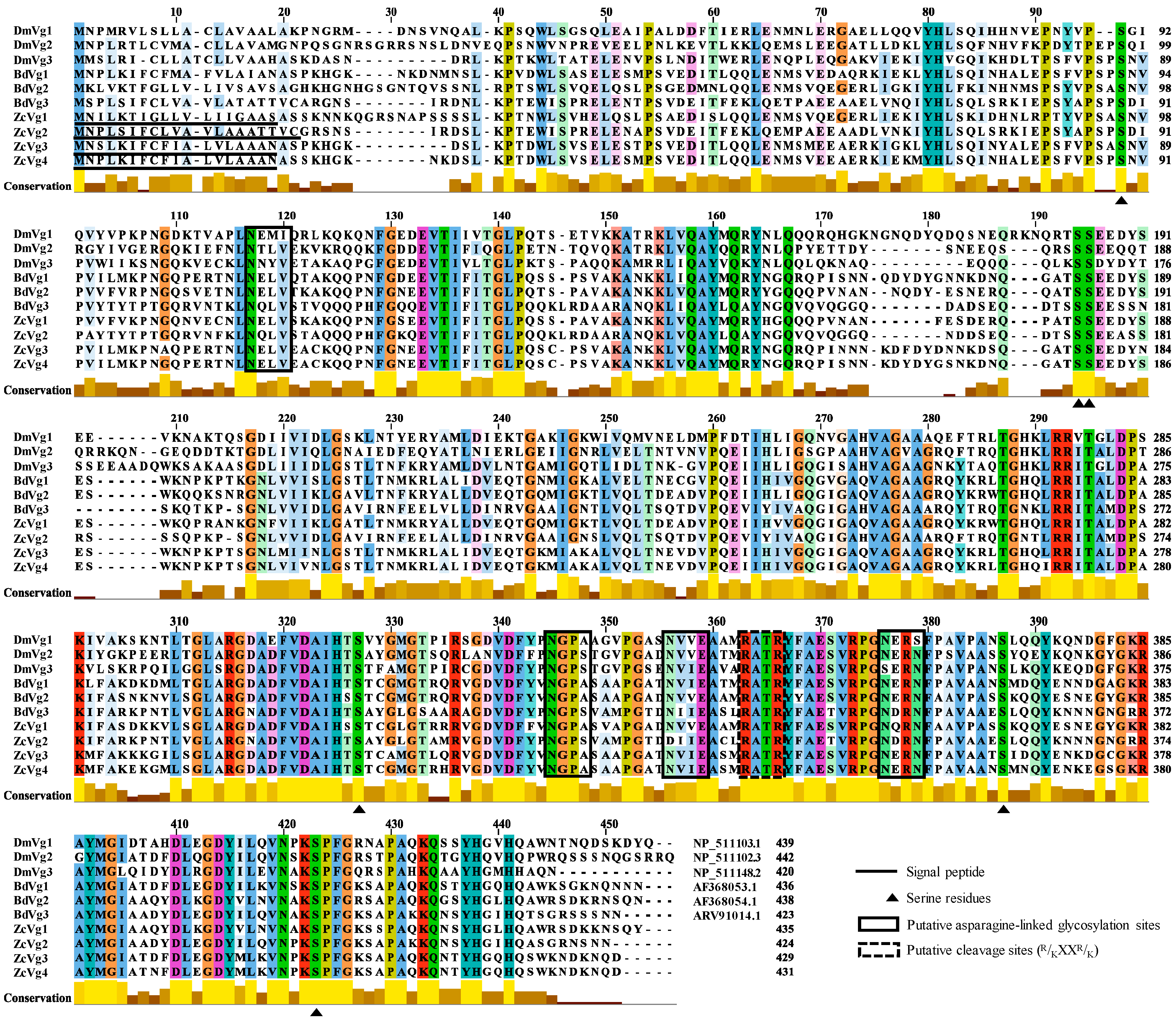 Insects 13 00452 g001