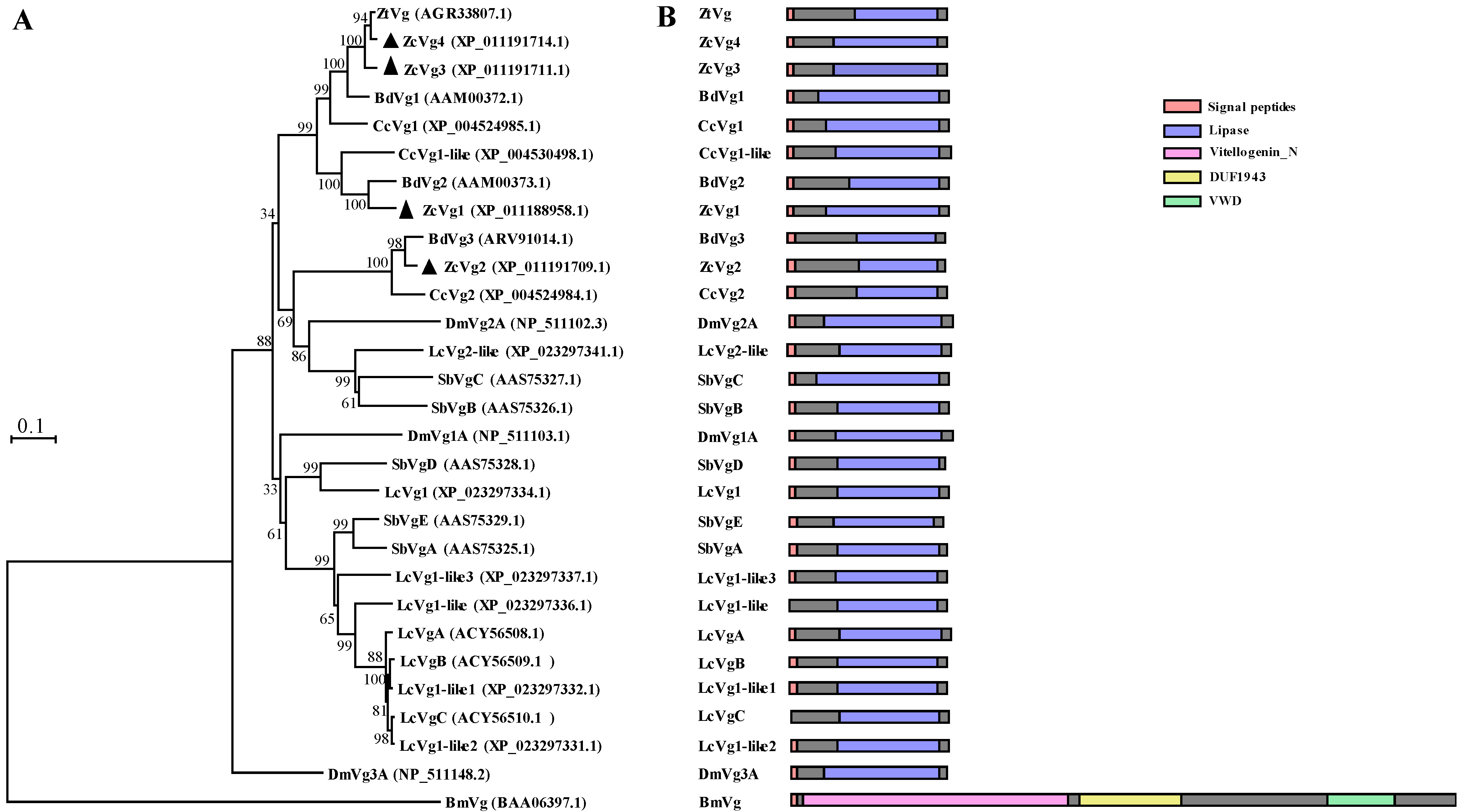 Insects 13 00452 g002
