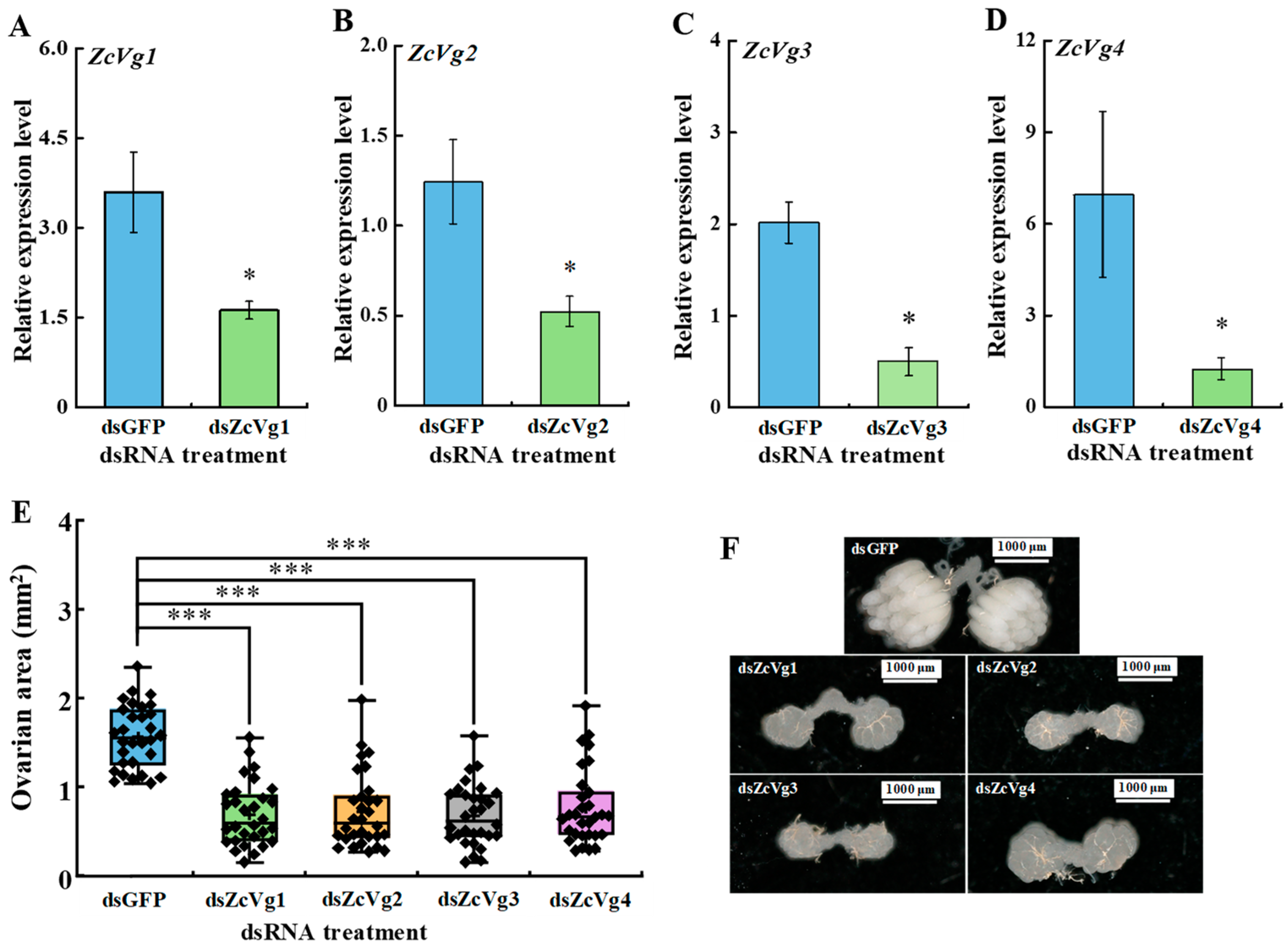 Insects 13 00452 g008