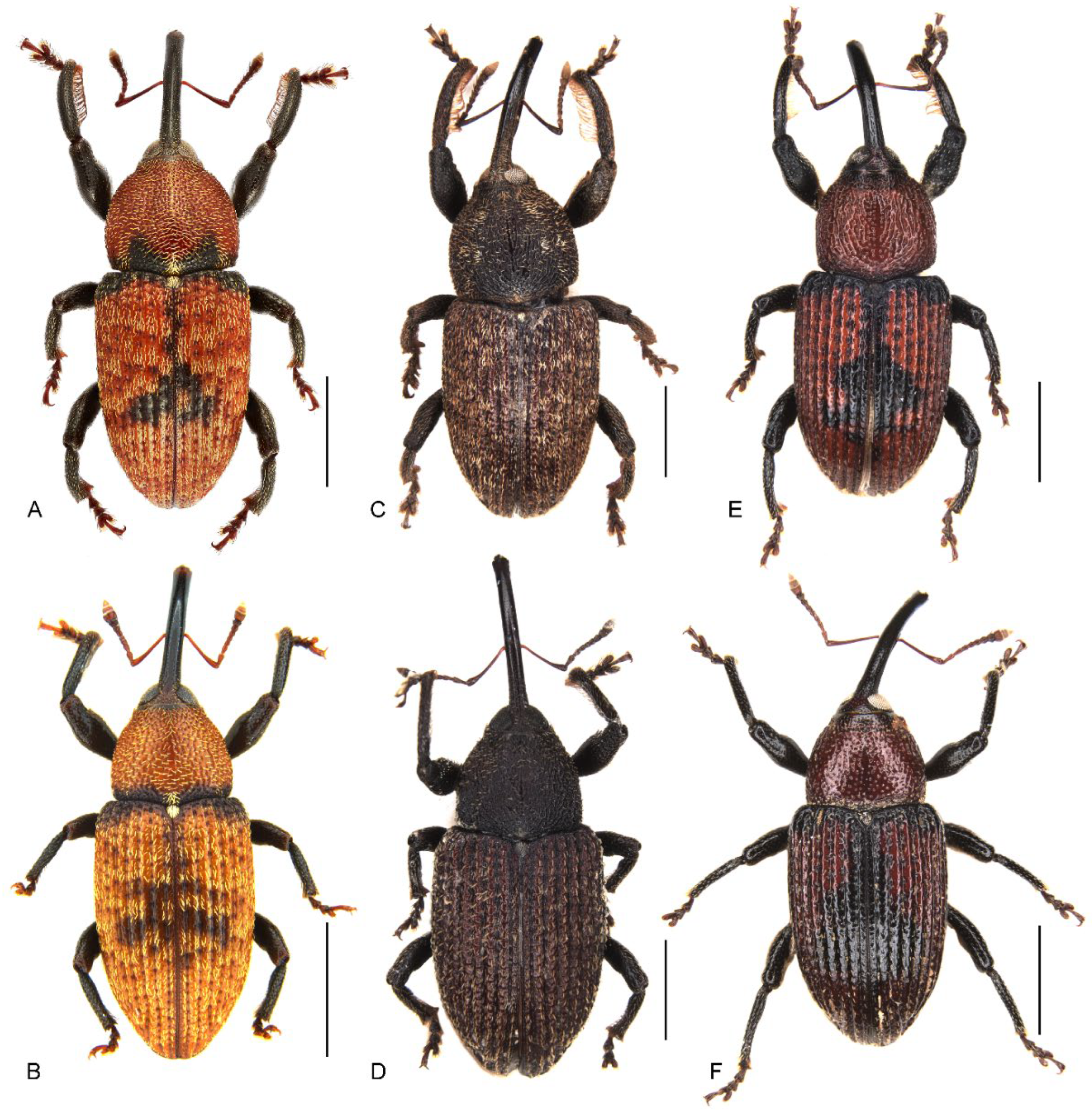 Insects 13 00456 g001