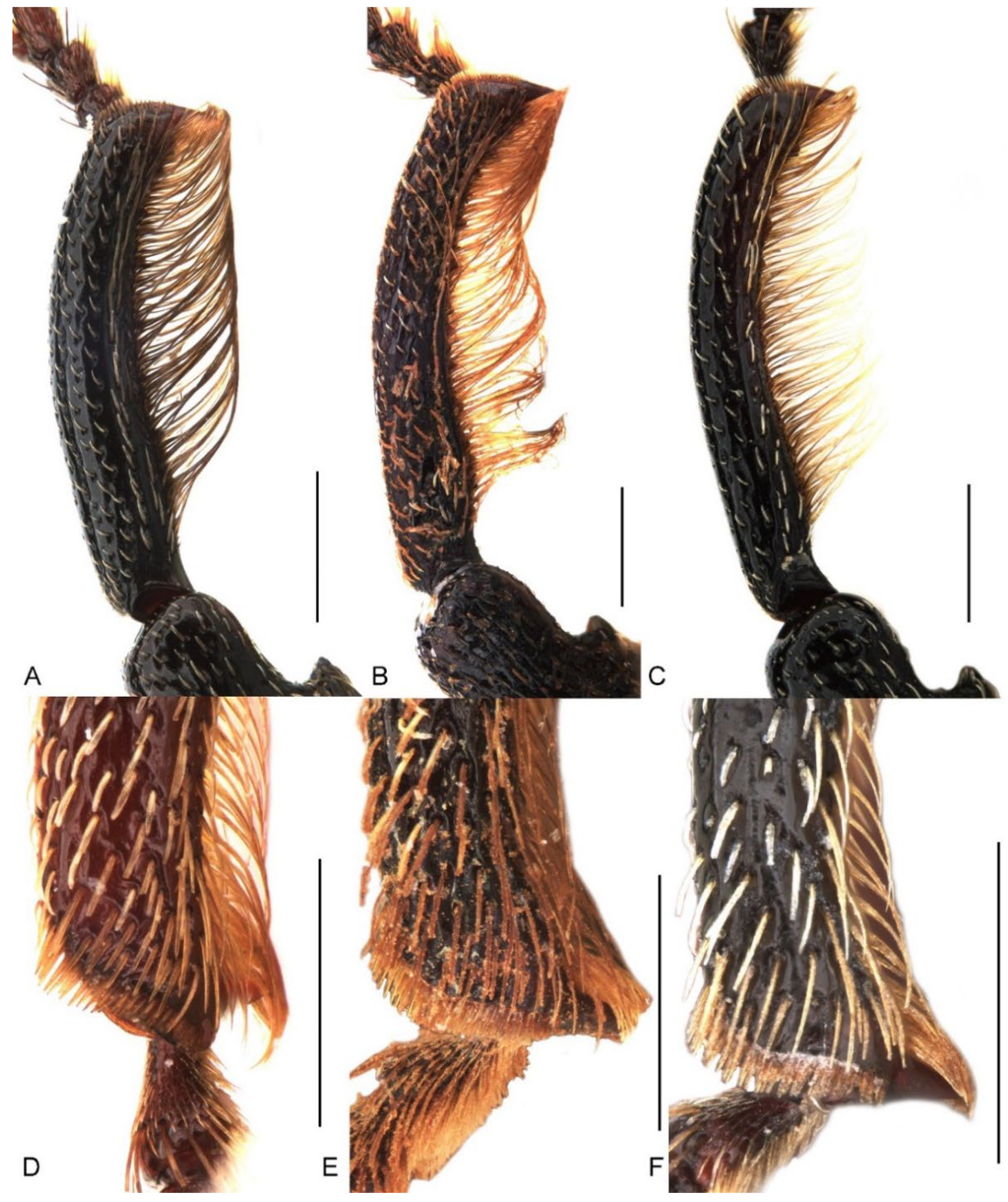 Insects 13 00456 g006