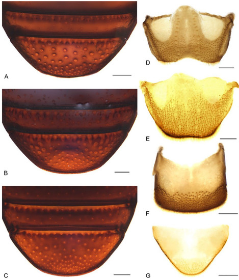 Insects 13 00456 g007