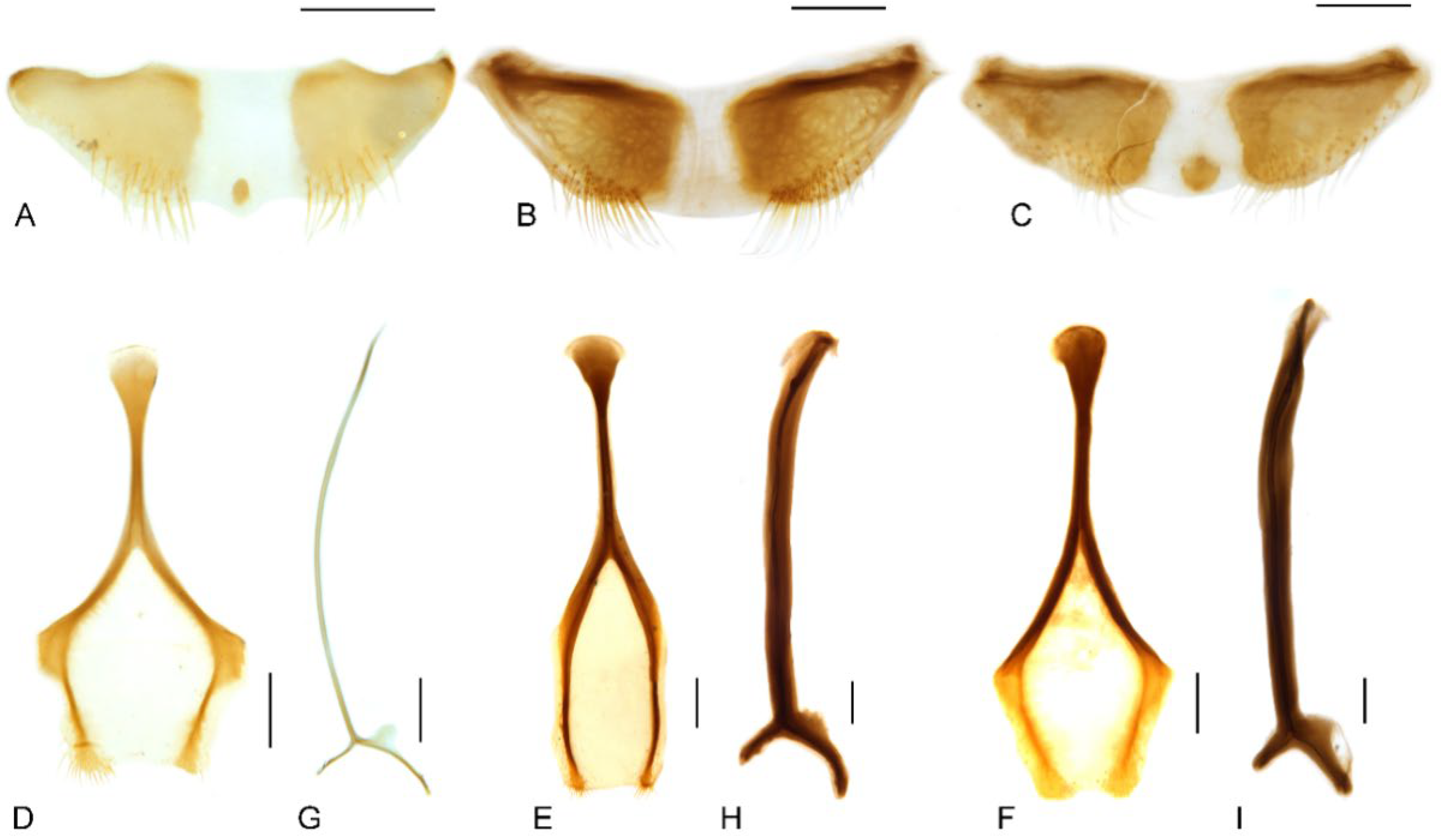 Insects 13 00456 g008