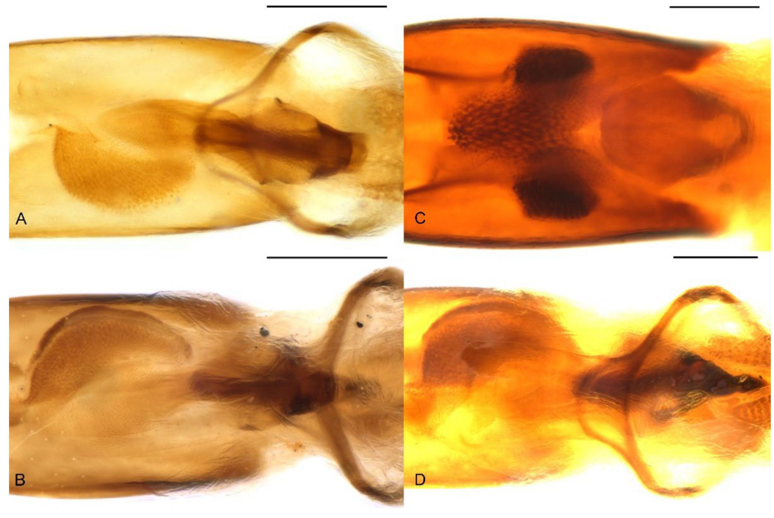 Insects 13 00456 g010