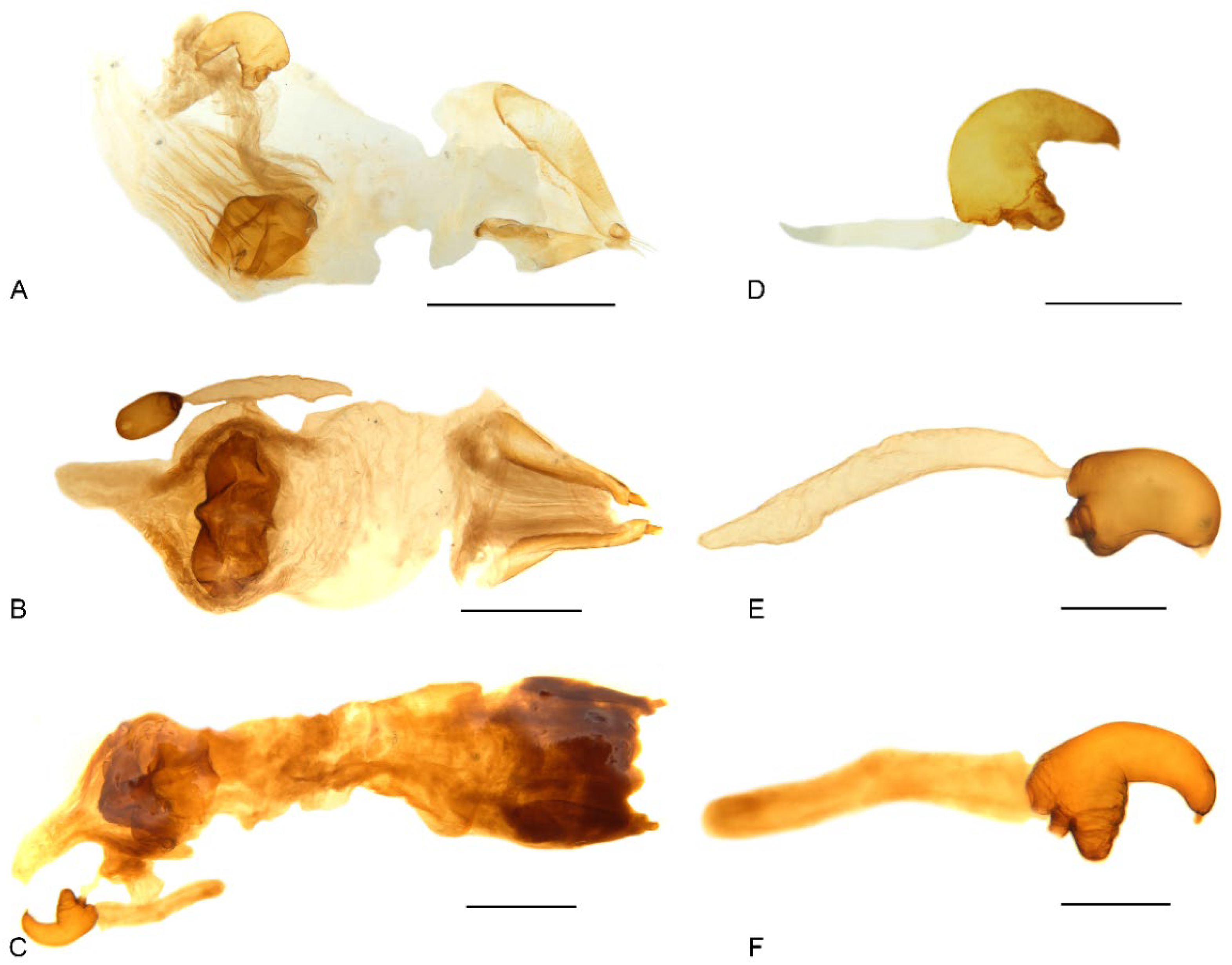 Insects 13 00456 g011