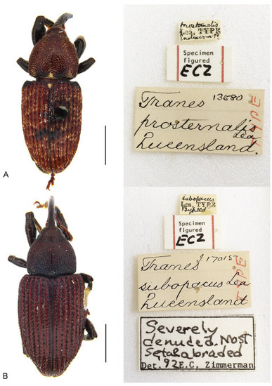 Insects 13 00456 g013