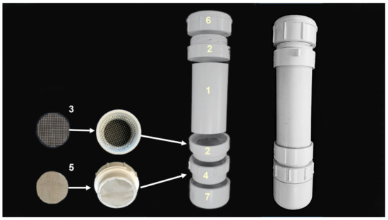 Insects 13 00457 g001 550