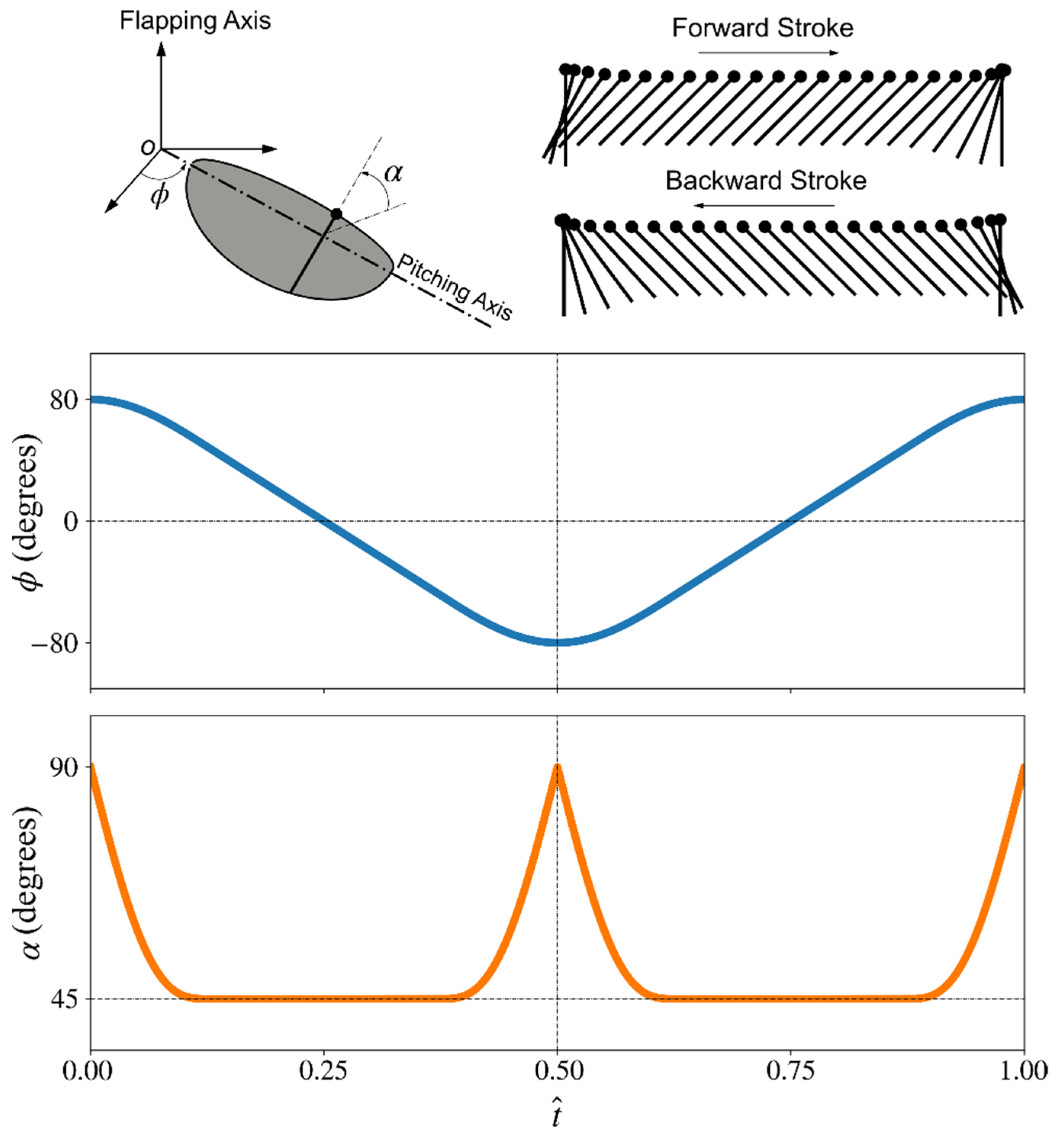 Insects 13 00459 g002