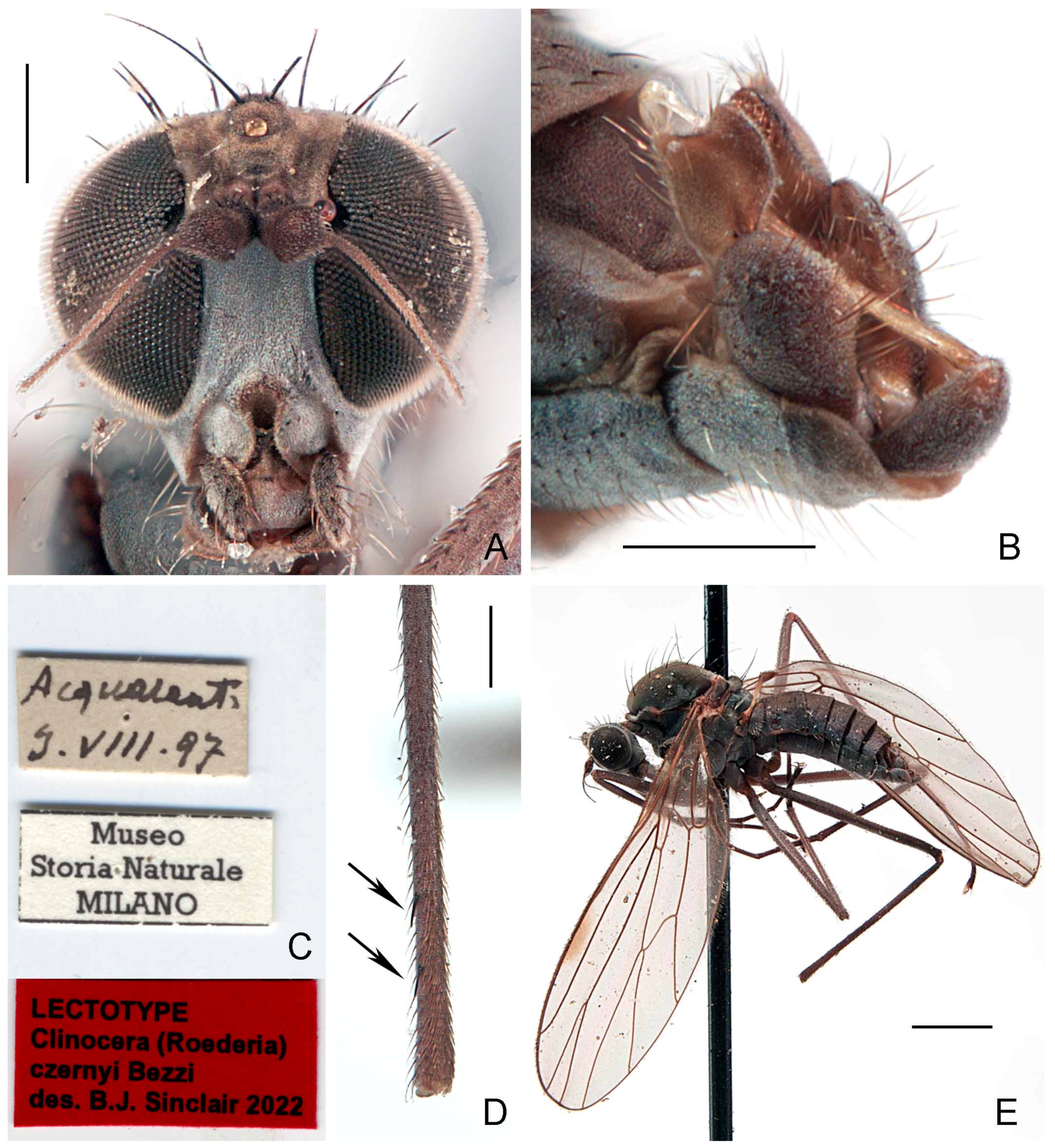 Insects 13 00460 g002 Insects 13 00460 g002