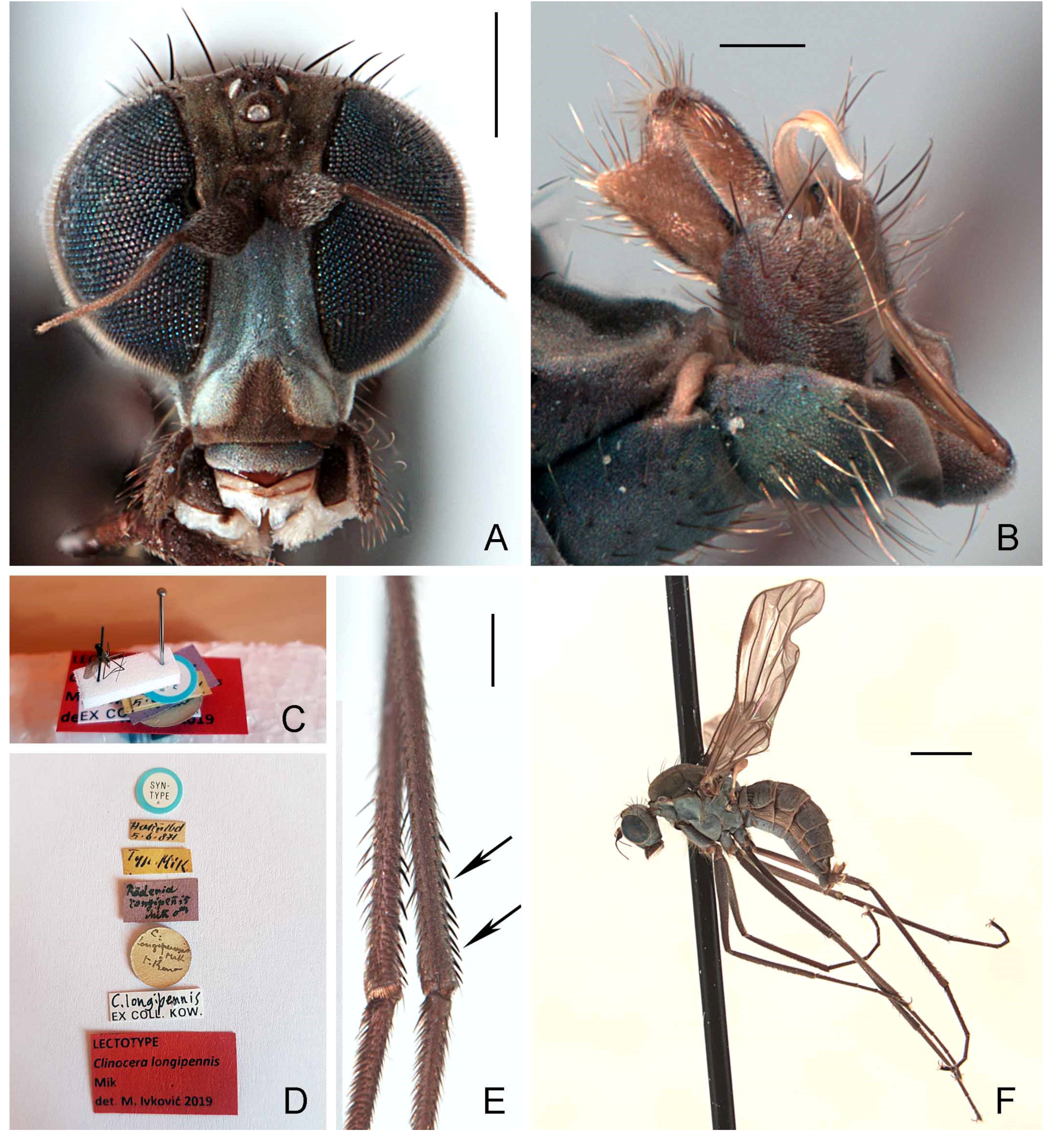 Insects 13 00460 g004 Insects 13 00460 g004