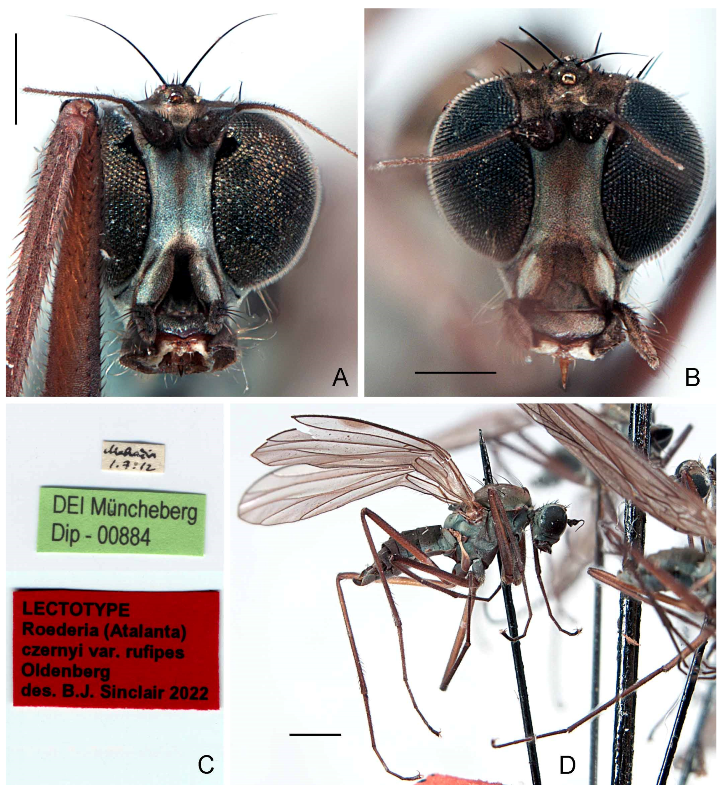 Insects 13 00460 g005 Insects 13 00460 g005