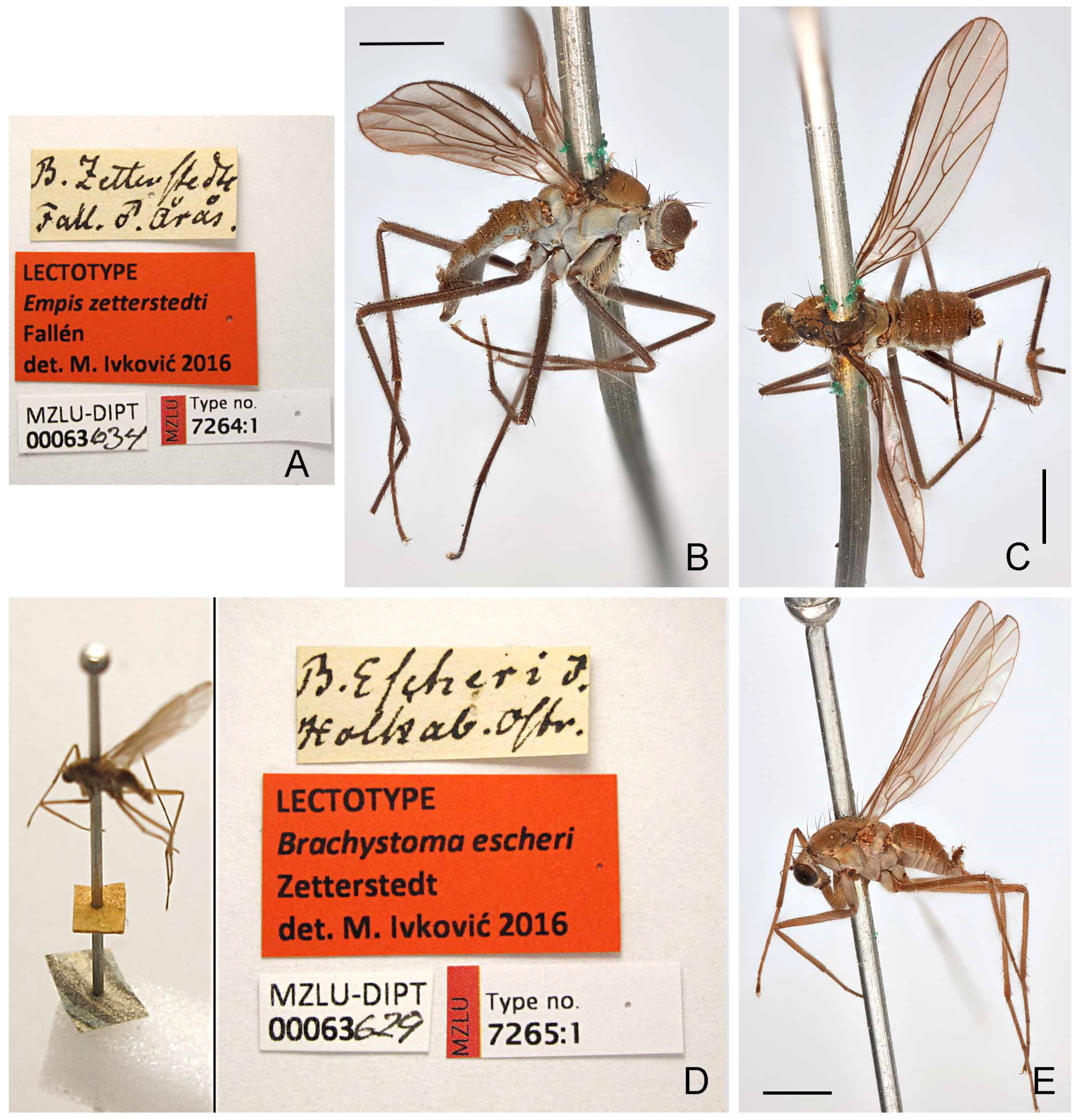 Insects 13 00460 g008 Insects 13 00460 g008