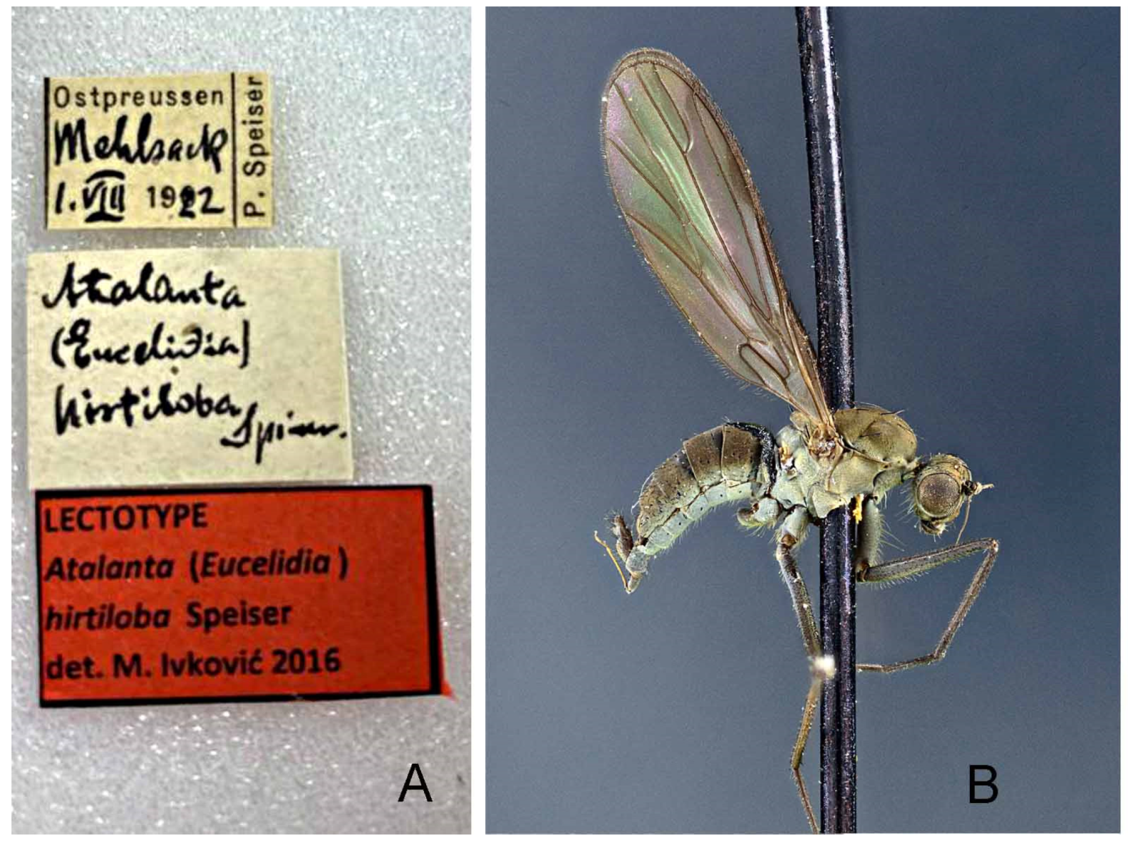 Insects 13 00460 g009 Insects 13 00460 g009