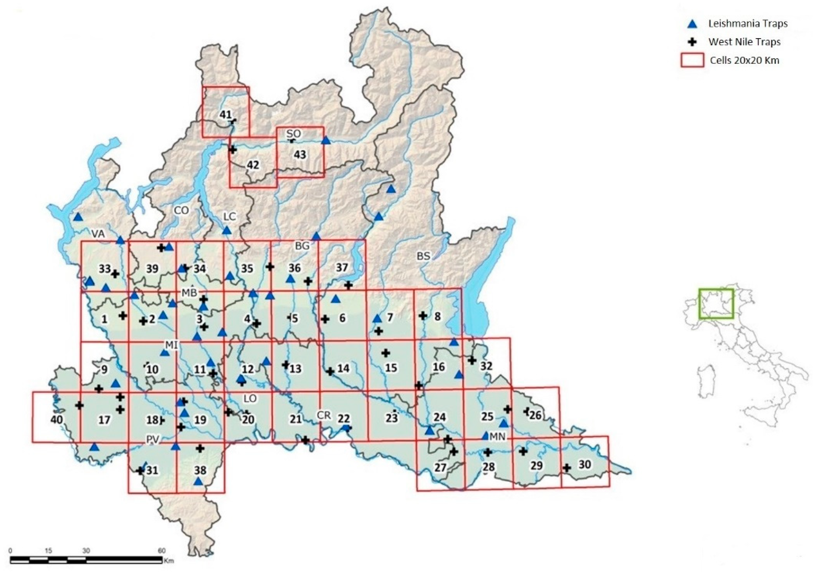 Insects 13 00463 g001