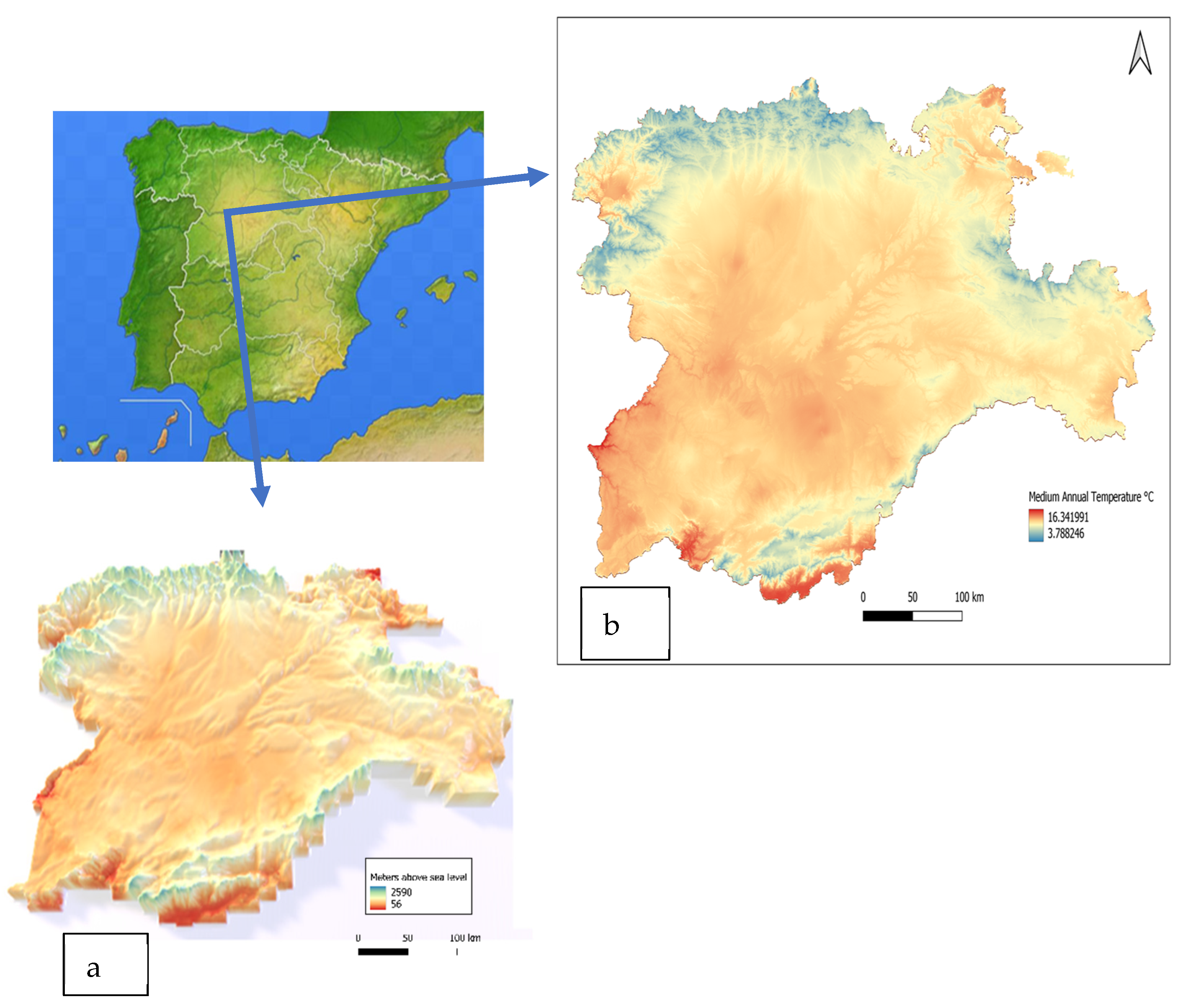 Insects 13 00469 g001