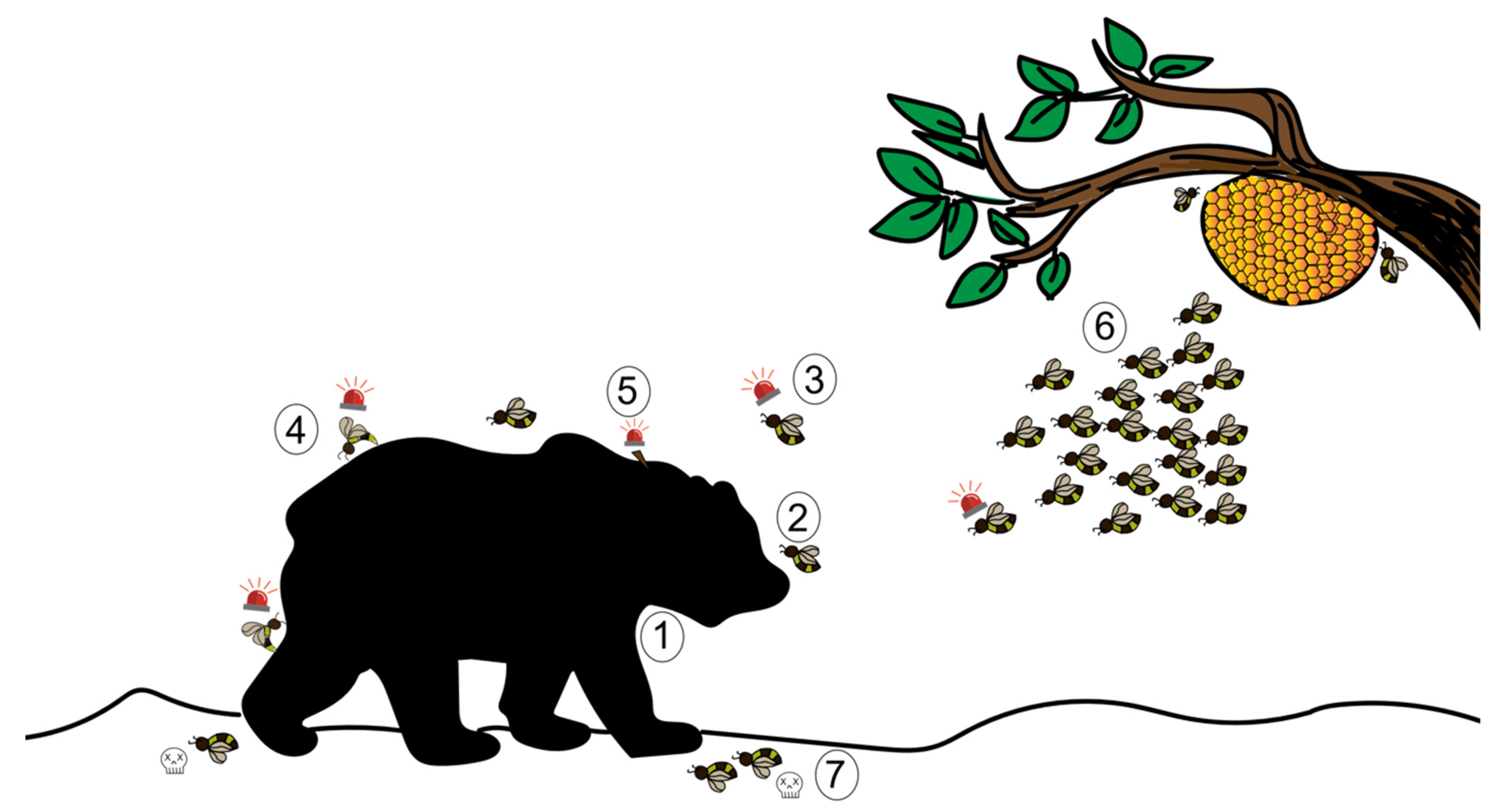 Insects 13 00470 g002