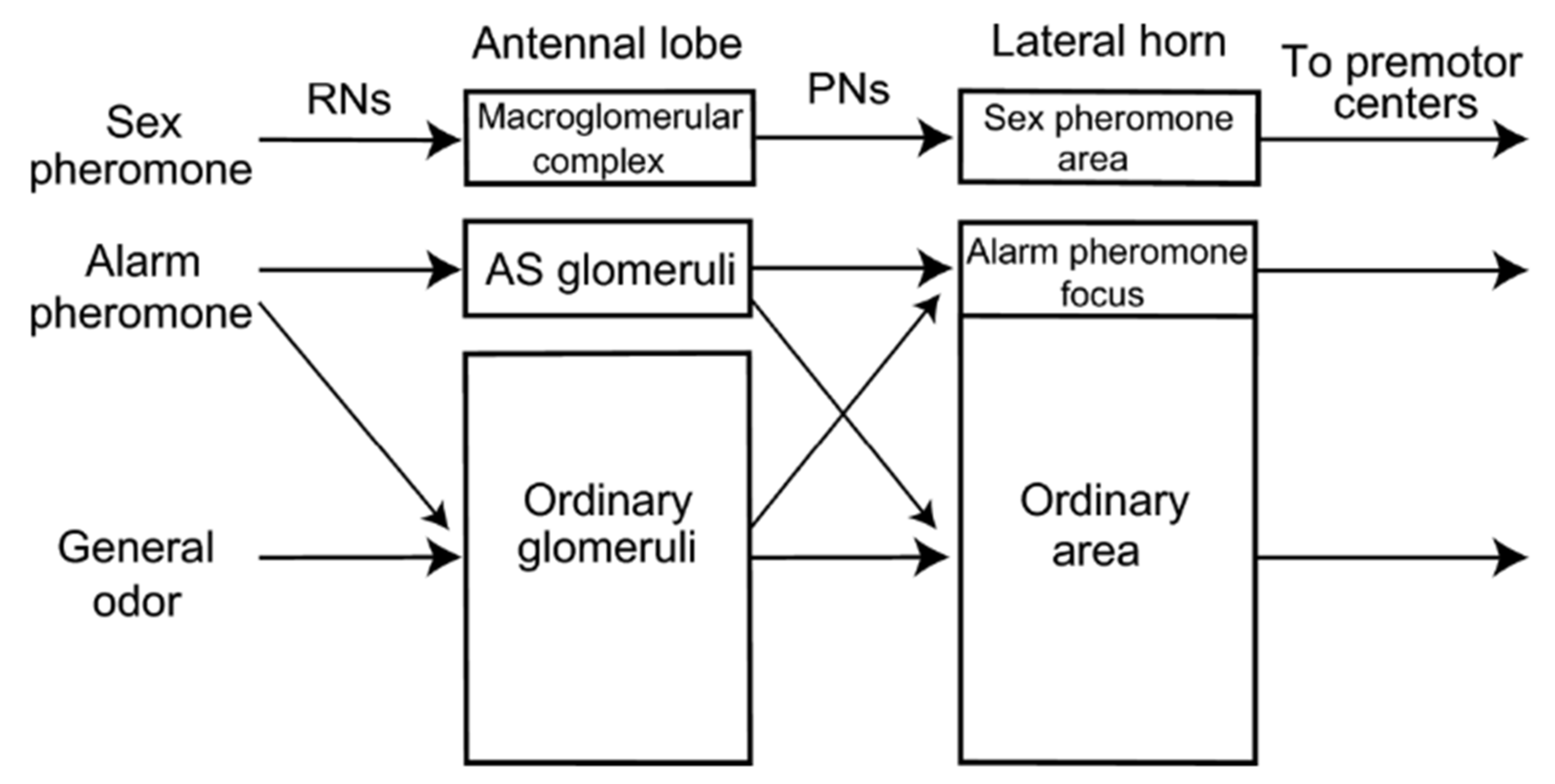 Insects 13 00470 g005
