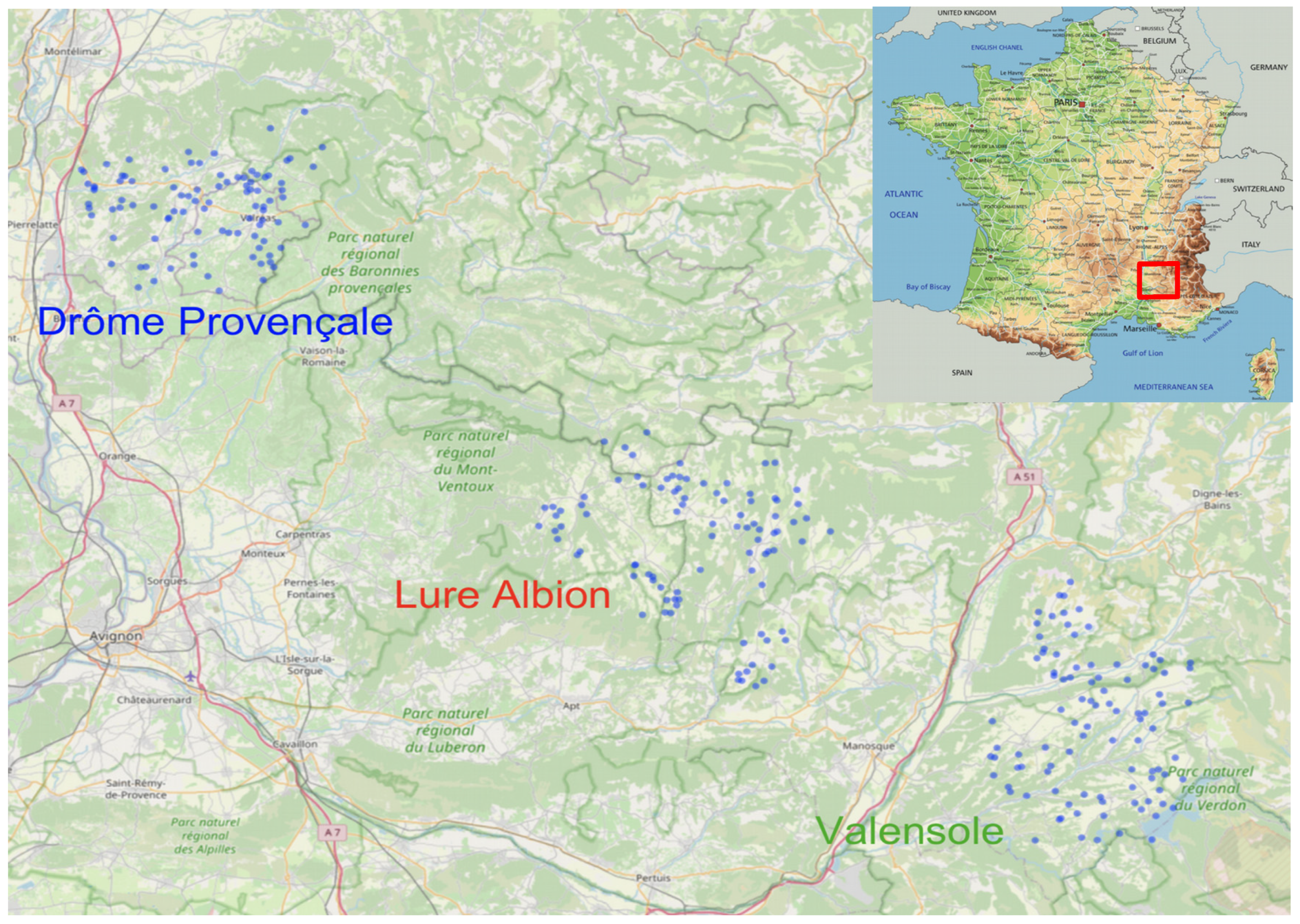 Insects 13 00472 g001