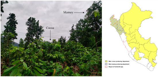 Insects 13 00473 g003