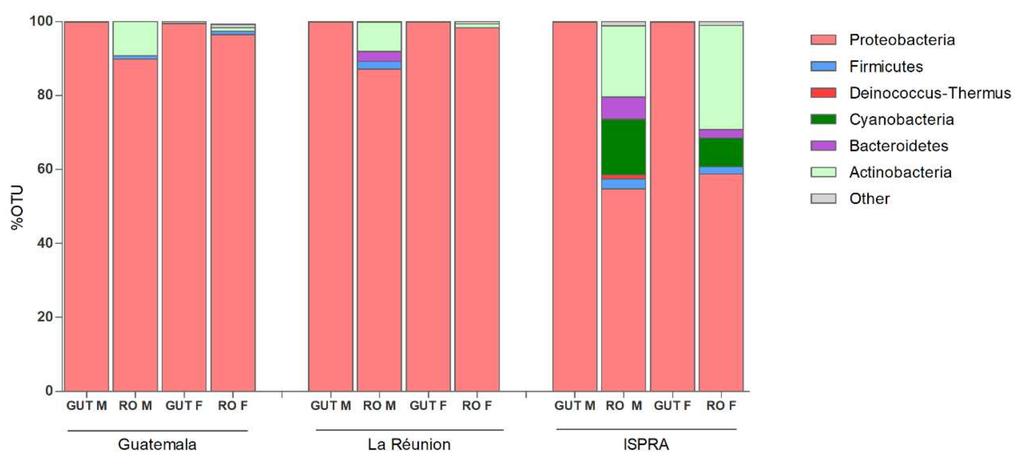 Insects 13 00474 g001