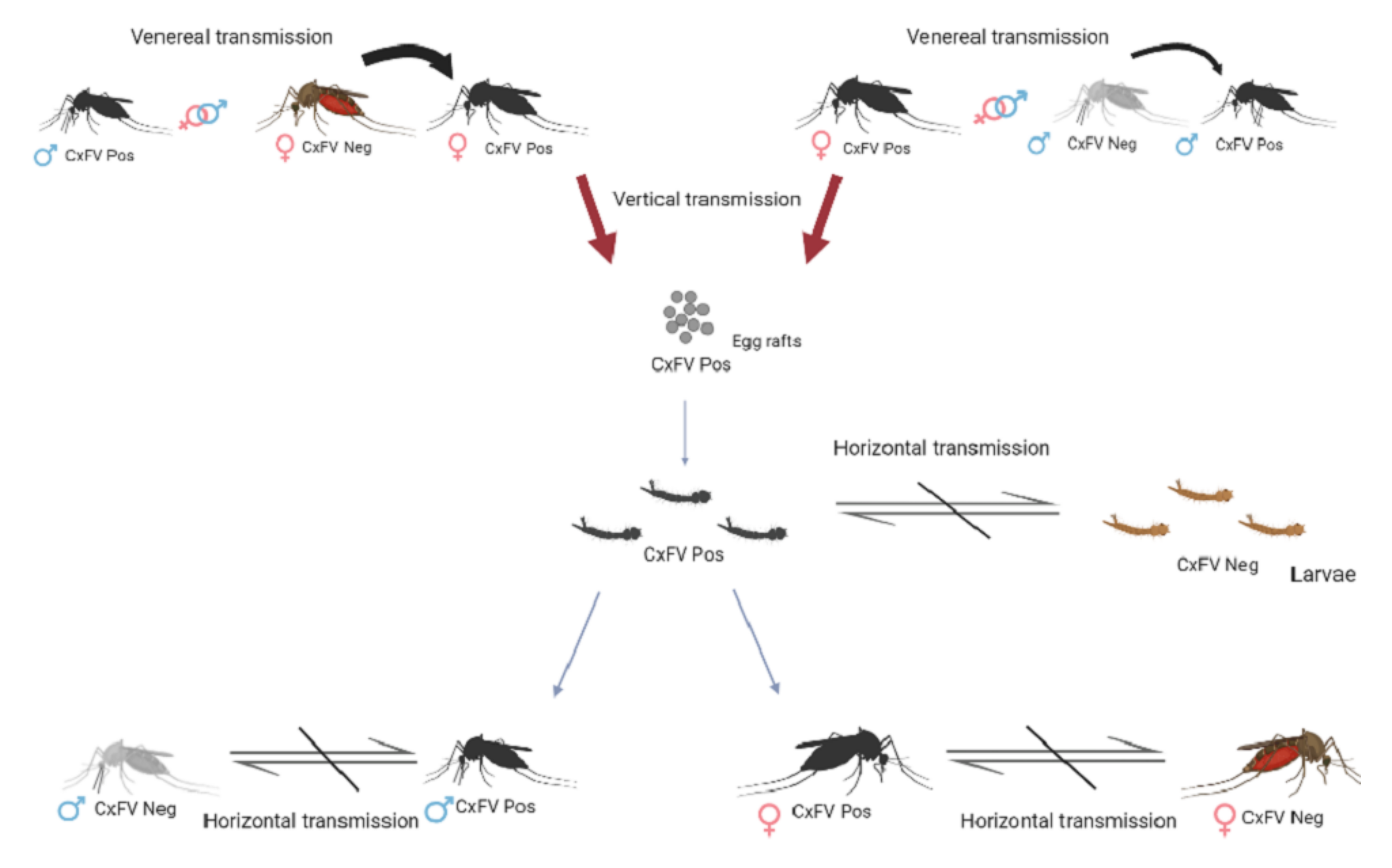 Insects 13 00477 g001