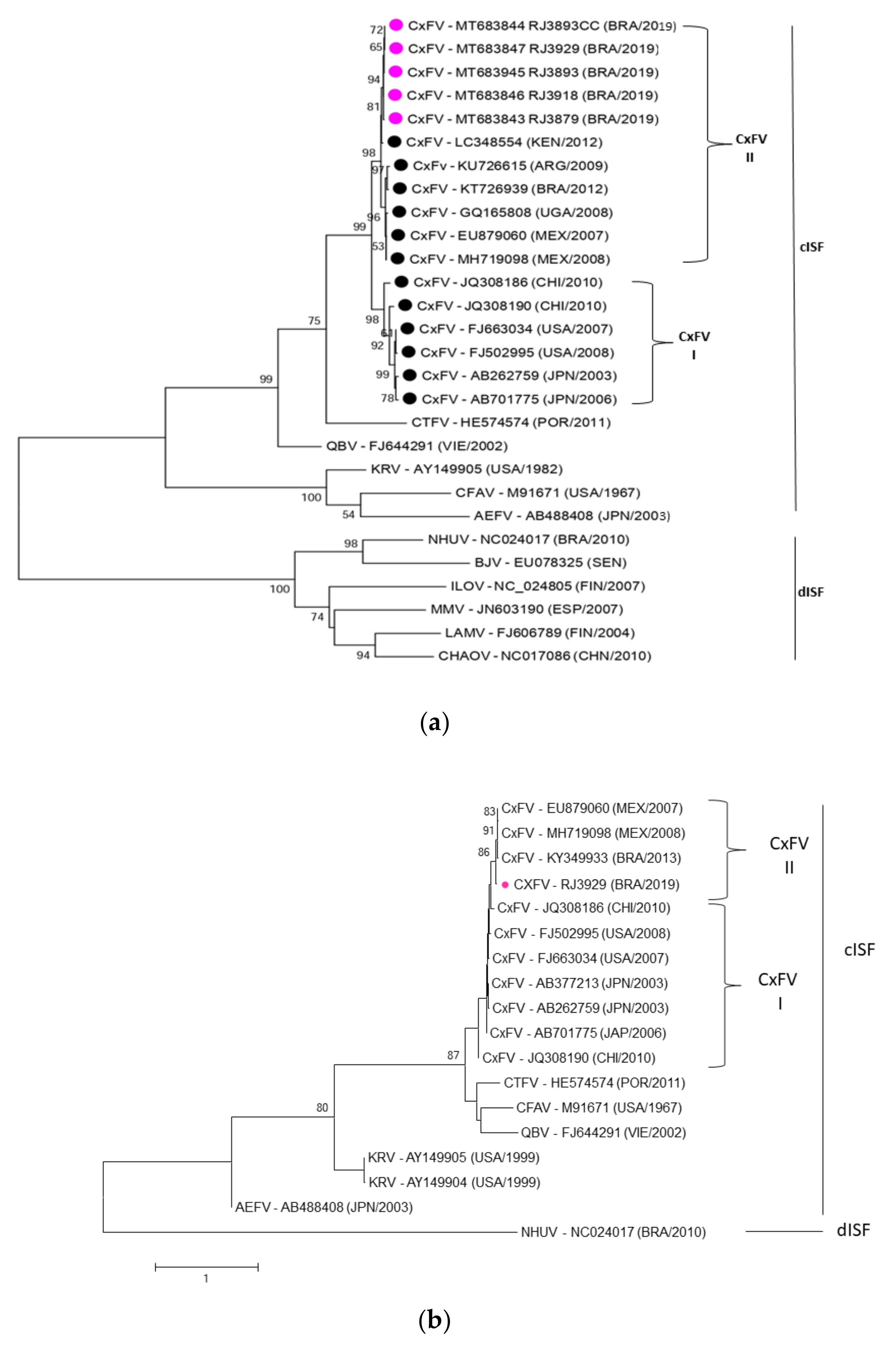 Insects 13 00477 g006