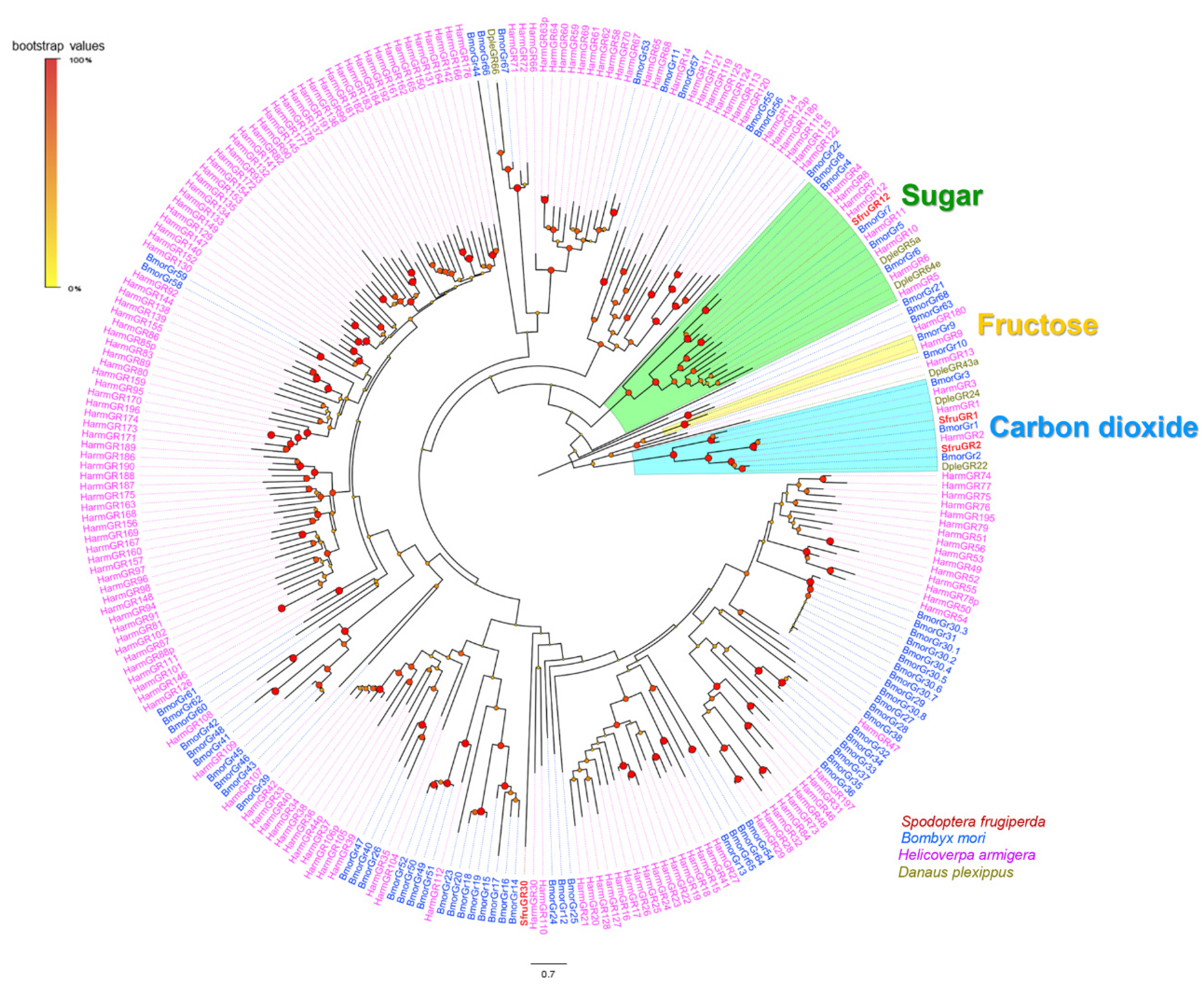 Insects 13 00481 g004