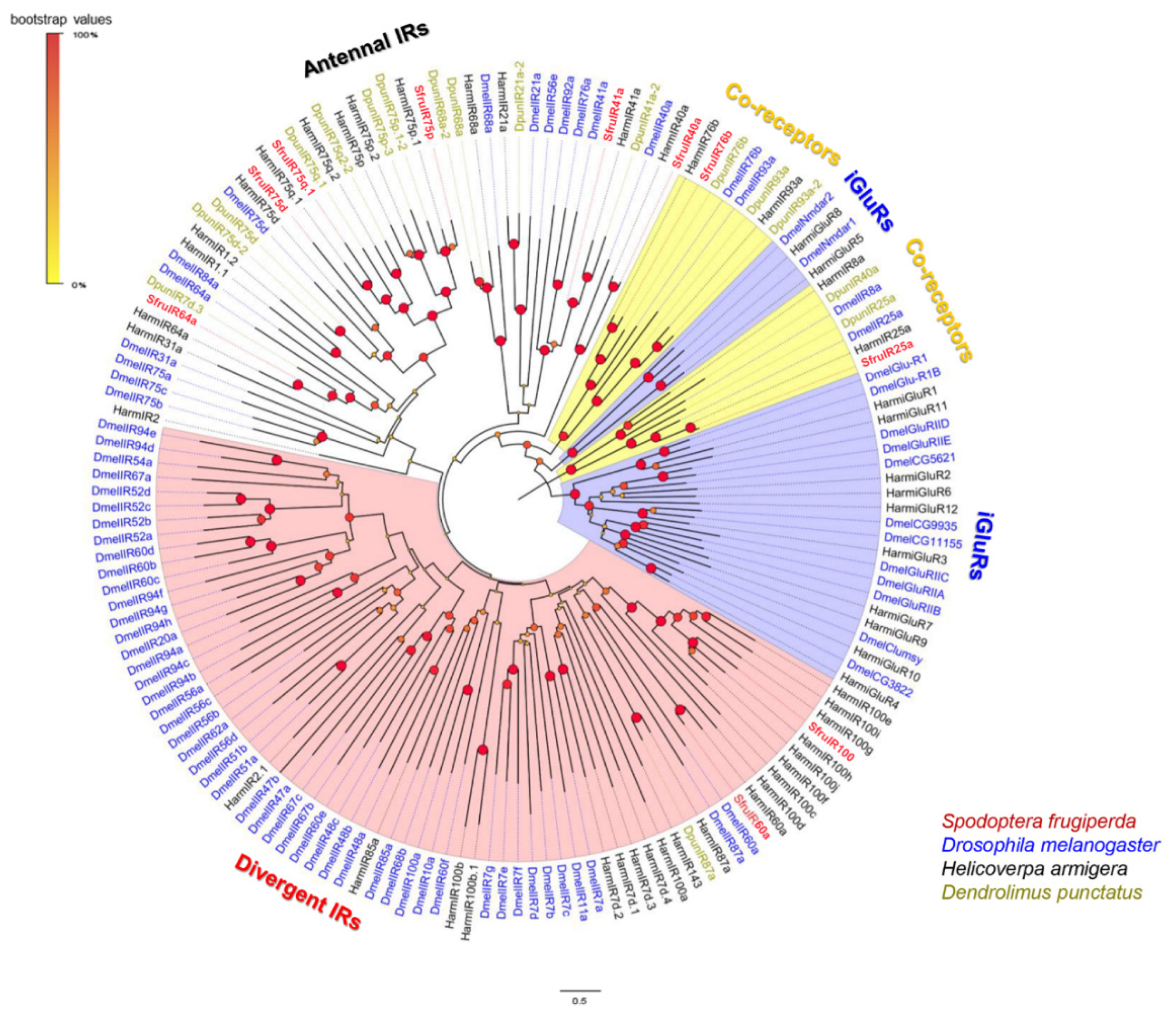 Insects 13 00481 g006