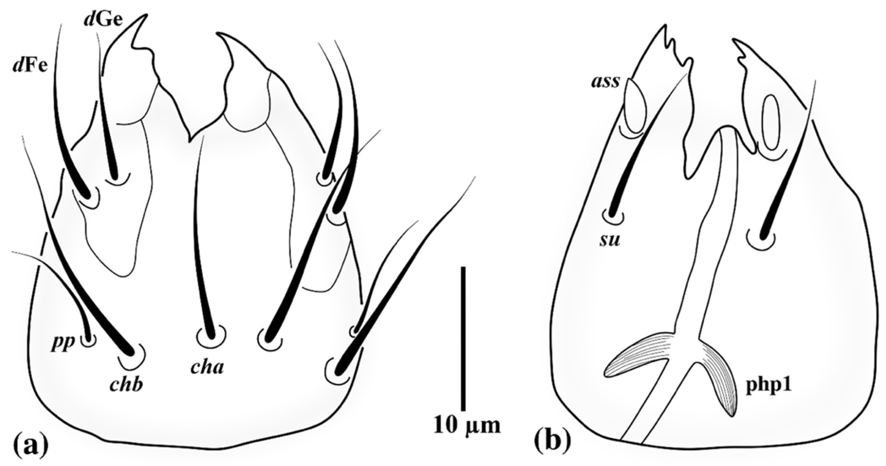 Insects 13 00483 g001 Insects 13 00483 g001