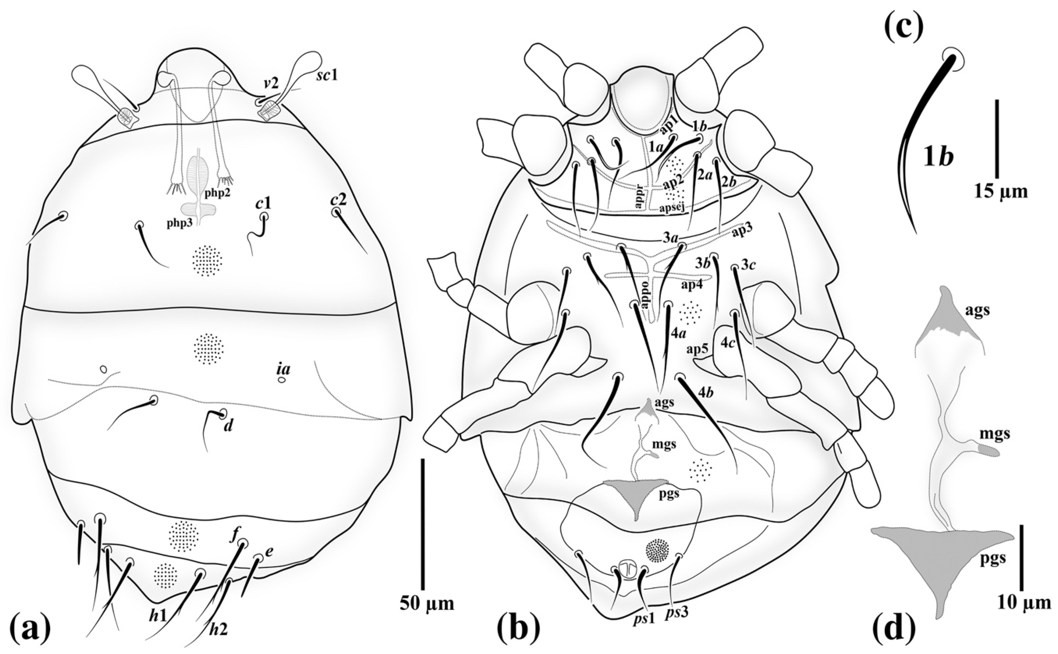 Insects 13 00483 g002 Insects 13 00483 g002