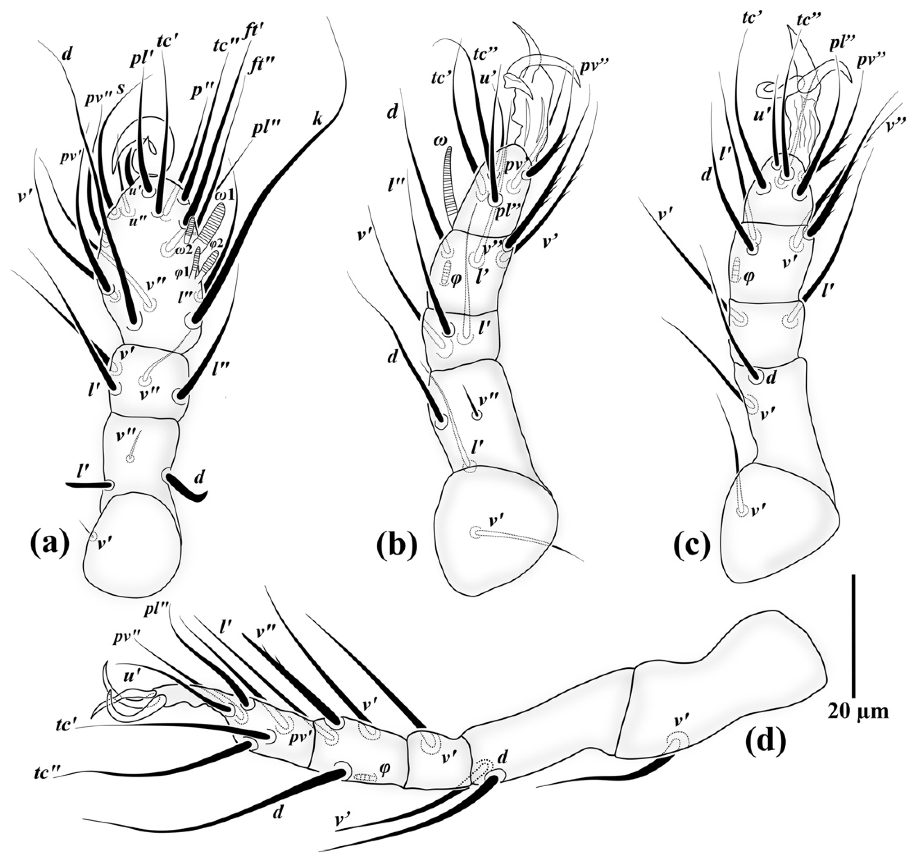 Insects 13 00483 g003 Insects 13 00483 g003