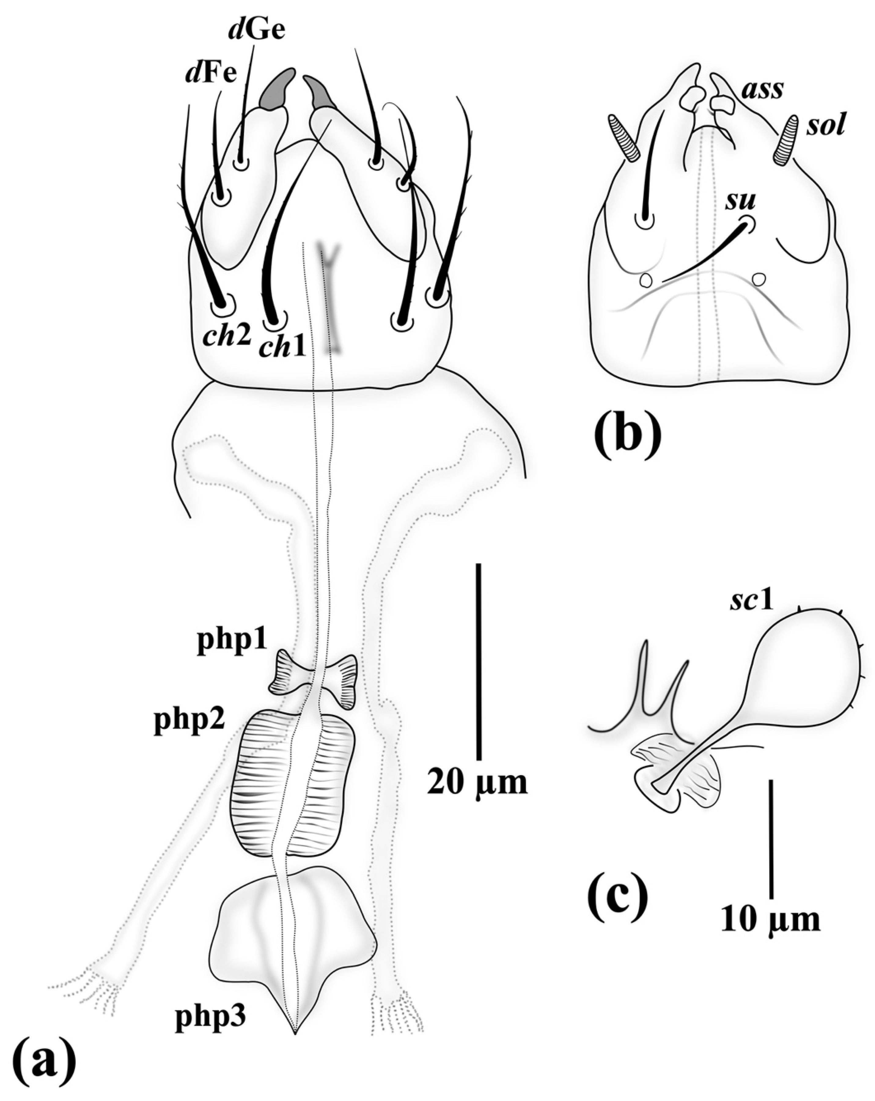 Insects 13 00483 g005 Insects 13 00483 g005