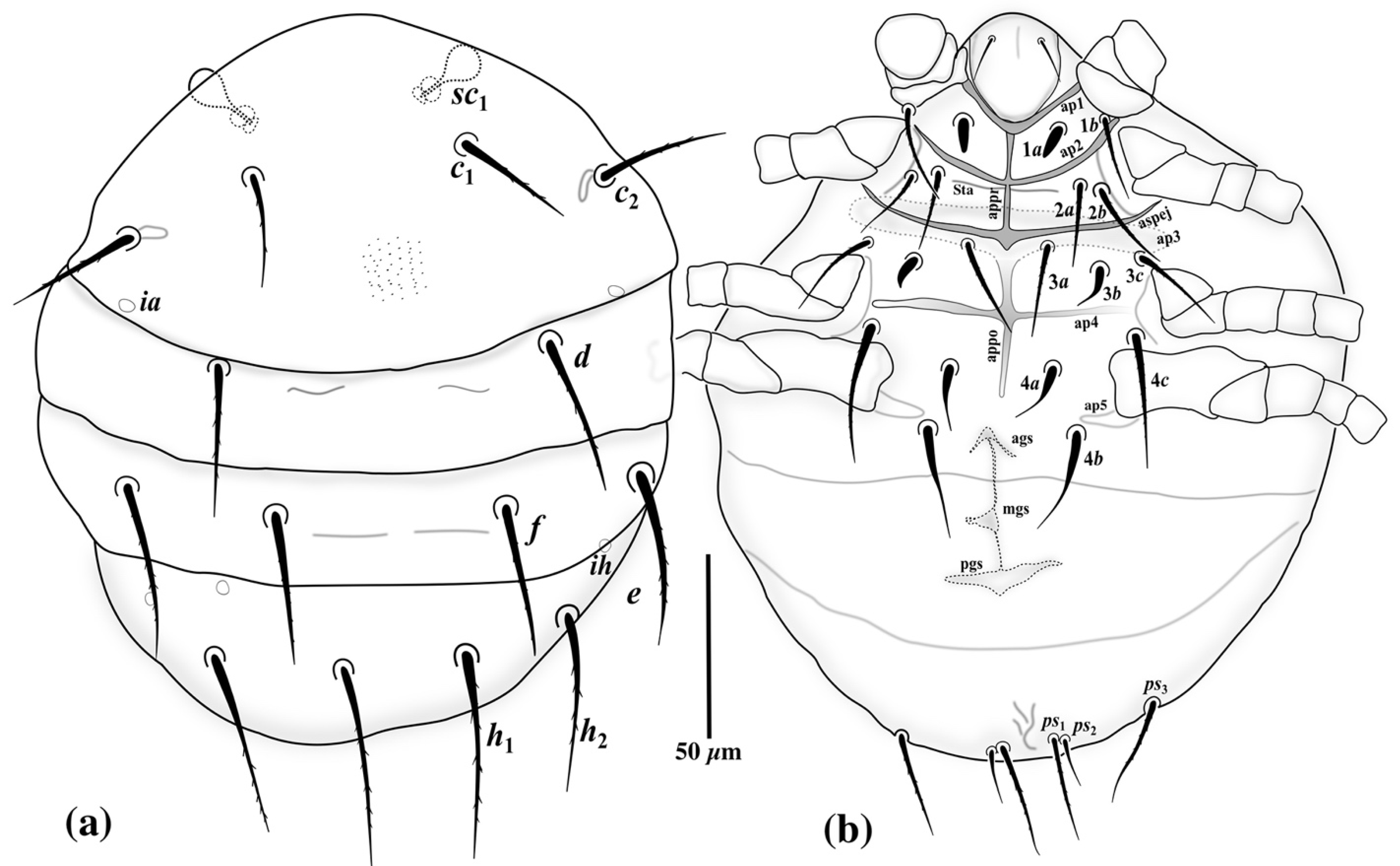 Insects 13 00483 g006 Insects 13 00483 g006