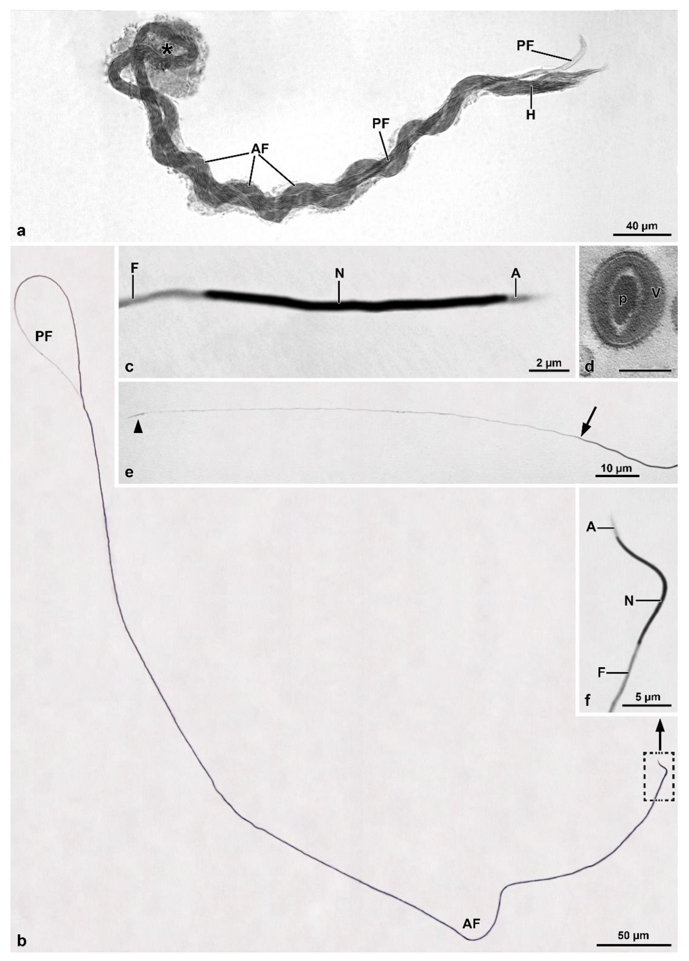 Insects 13 00485 g007