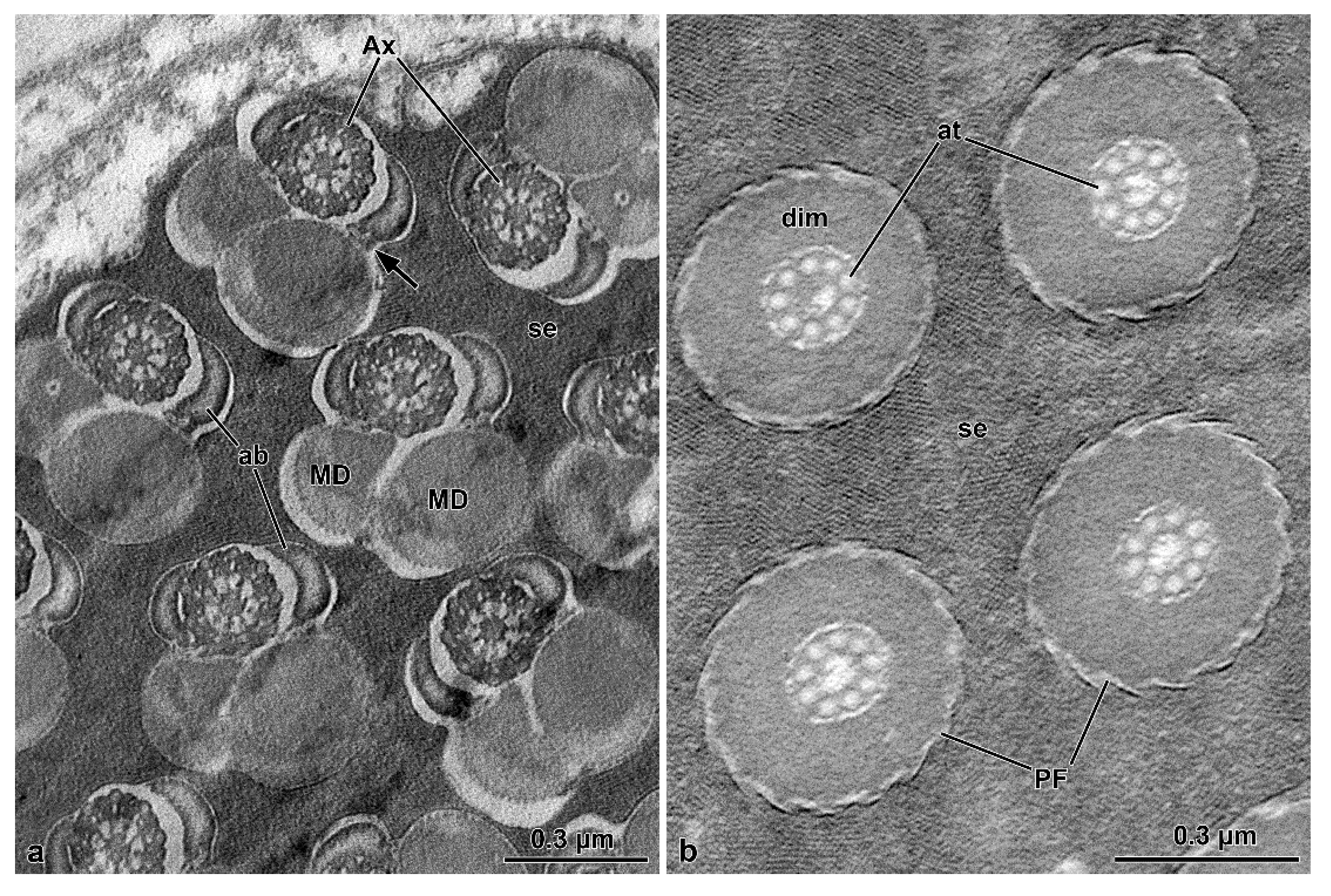 Insects 13 00485 g008