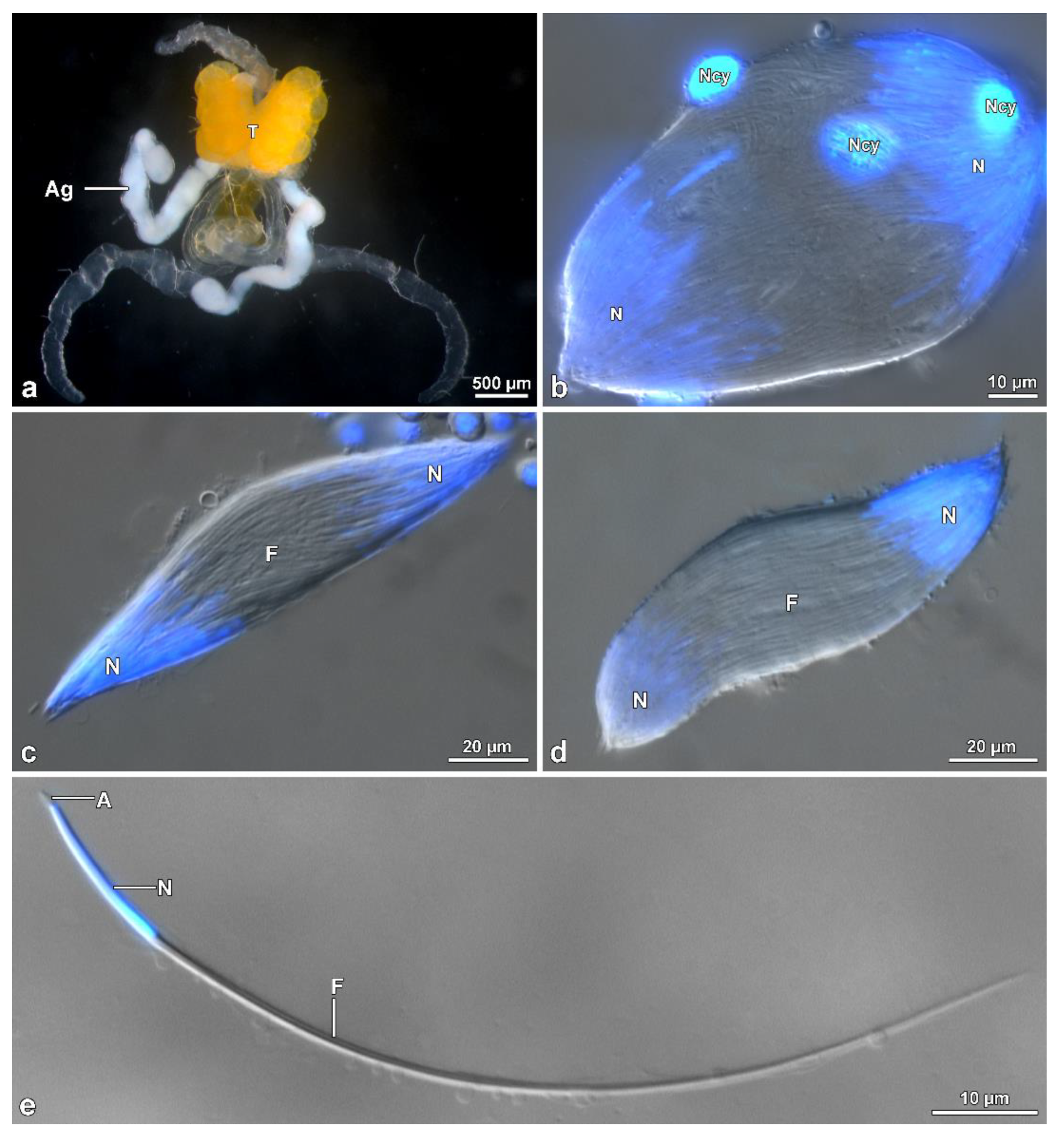 Insects 13 00485 g009