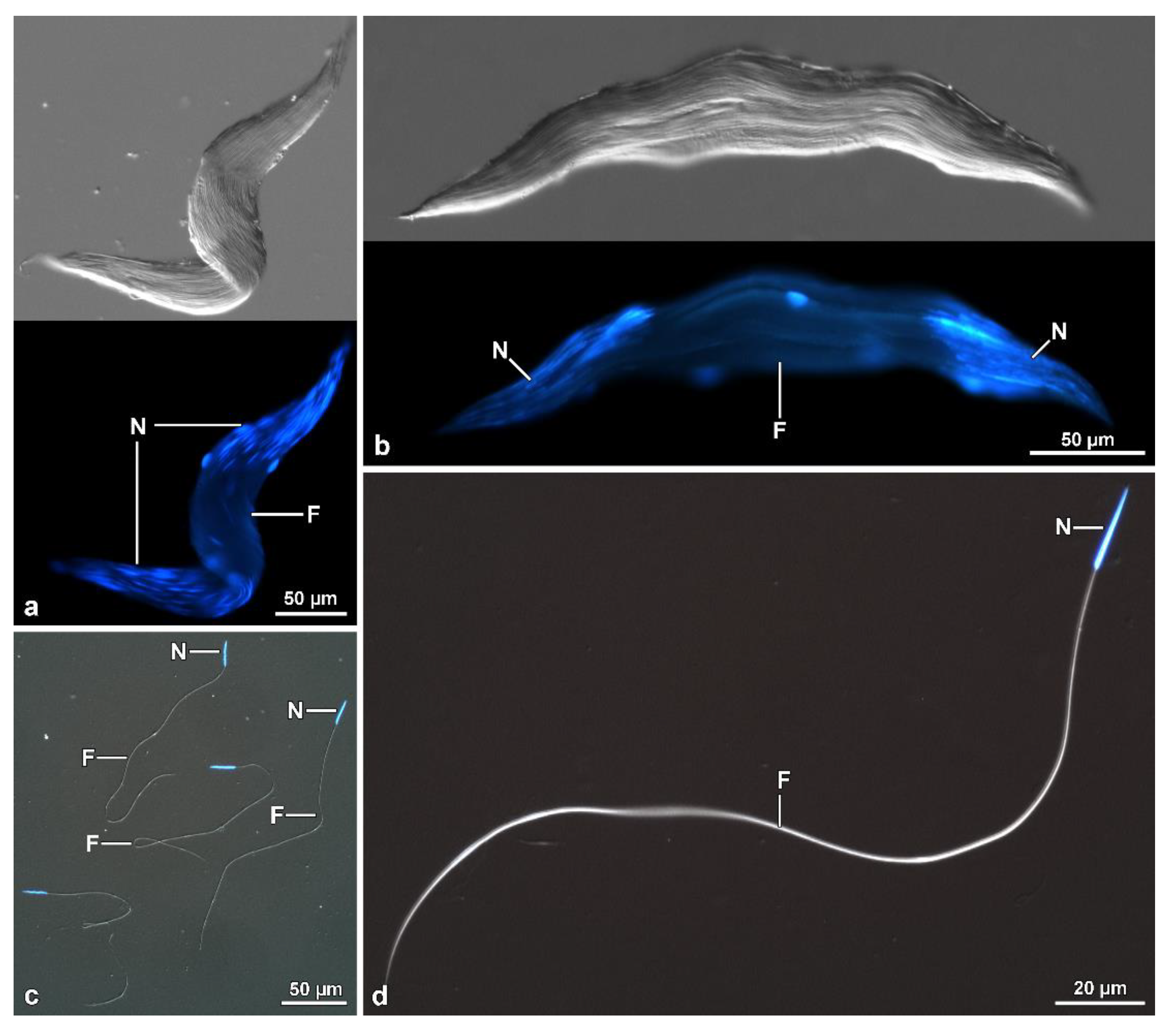Insects 13 00485 g011